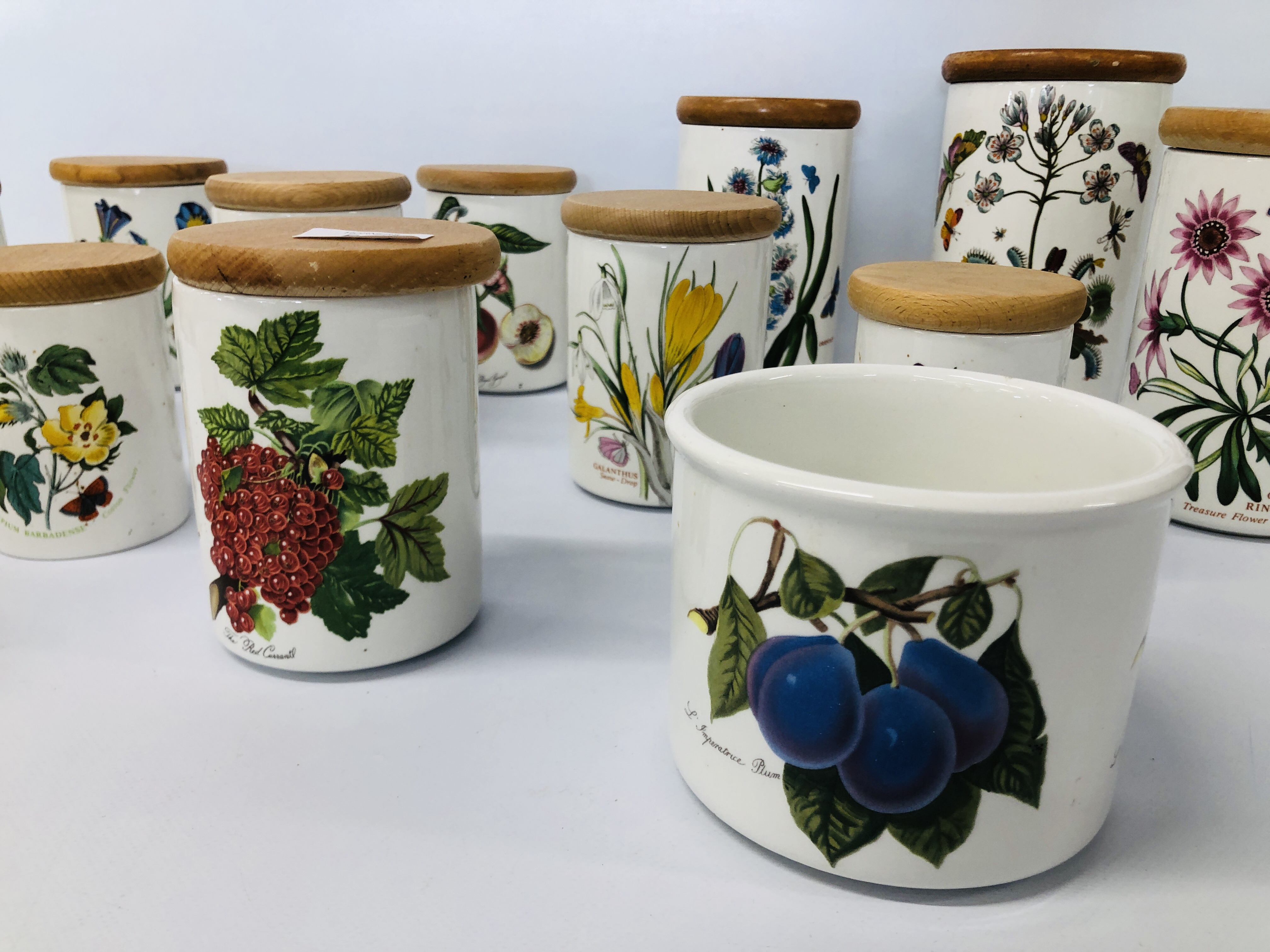 11 X ASSORTED PORTMEIRION "THE BOTANIC GARDEN" STORAGE CANISTERS AND 2 OTHERS - Image 5 of 5