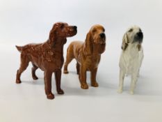 BESWICK IRISH SETTER, CH SUGAR OF WERDOVER HEIGHT 14CM.