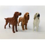 BESWICK IRISH SETTER, CH SUGAR OF WERDOVER HEIGHT 14CM.