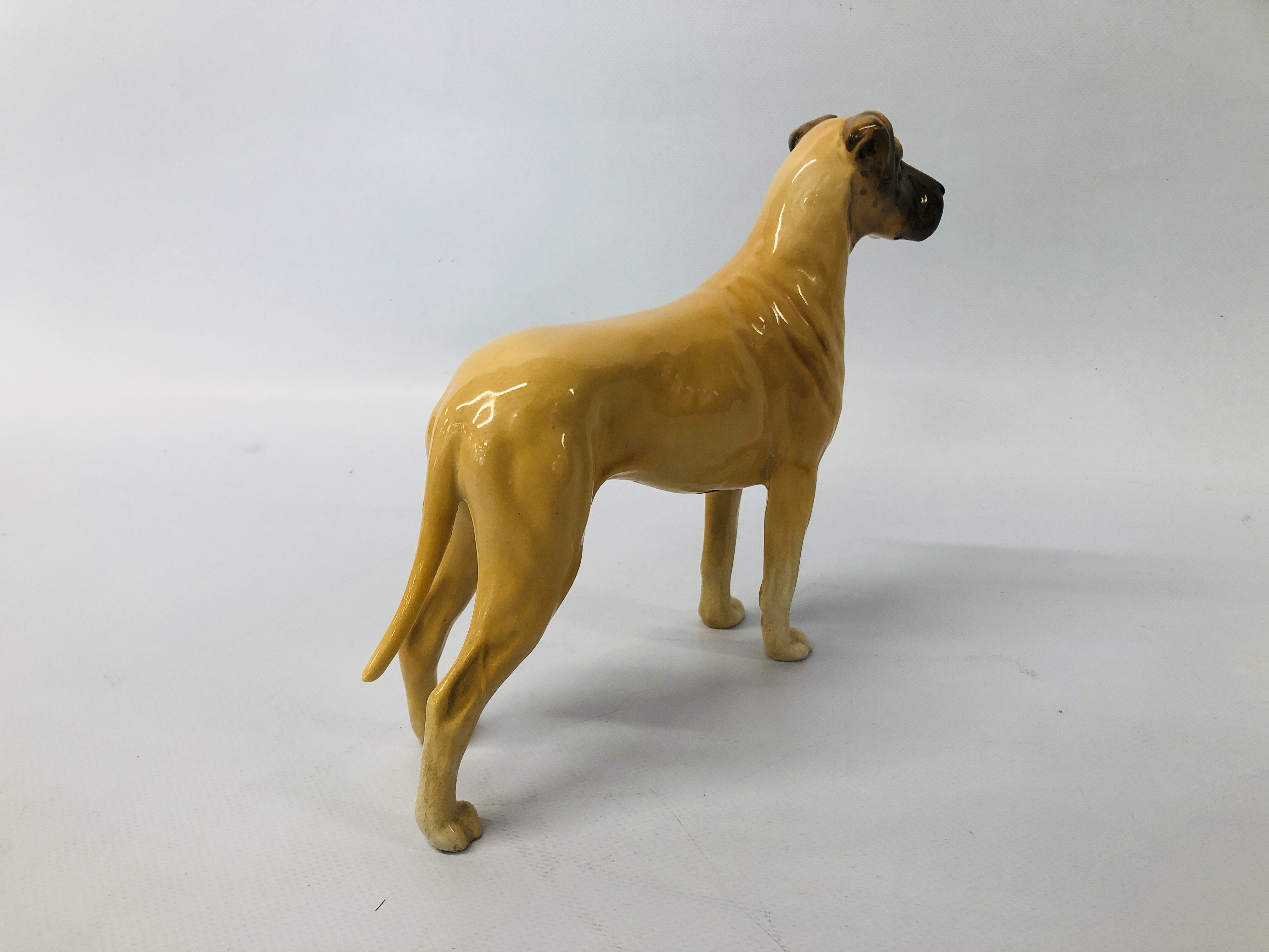 BESWICK ALSATIAN, CH ULRICA OF BRITTAS HEIGHT 14.5 CM. - Image 9 of 11