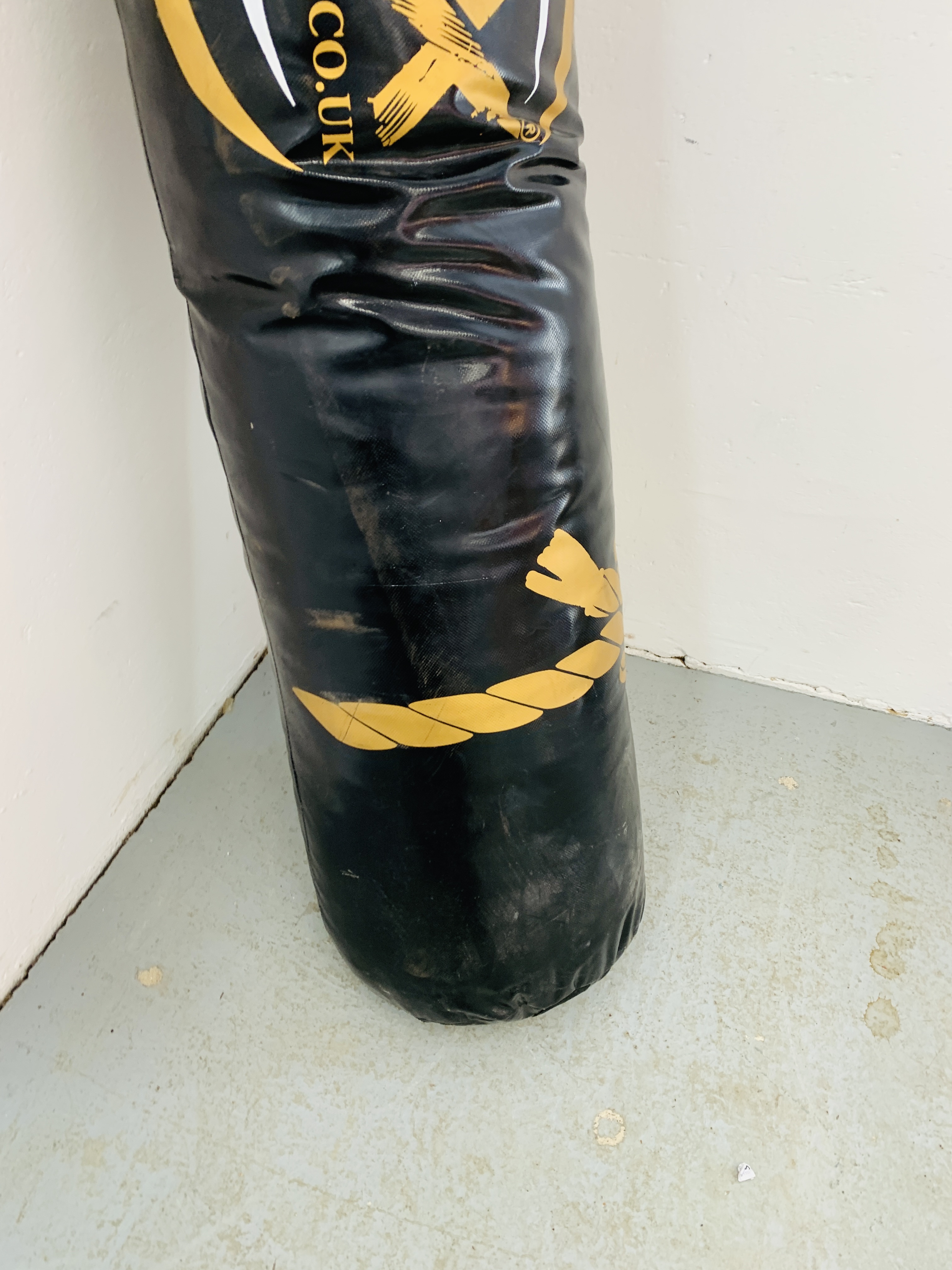 ONE X SPORT PUNCH BAG AND PAIR OF SPARING GLOVES. - Image 3 of 5