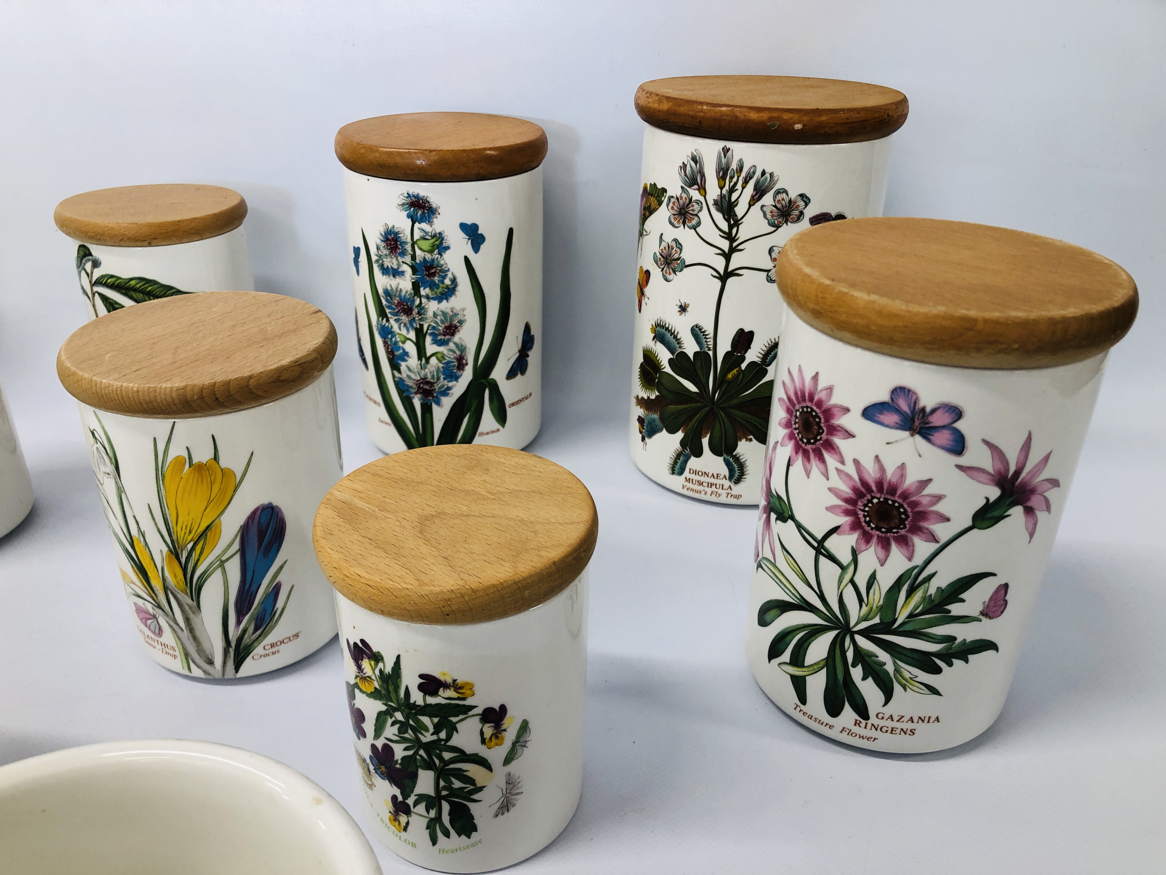 11 X ASSORTED PORTMEIRION "THE BOTANIC GARDEN" STORAGE CANISTERS AND 2 OTHERS - Image 4 of 5