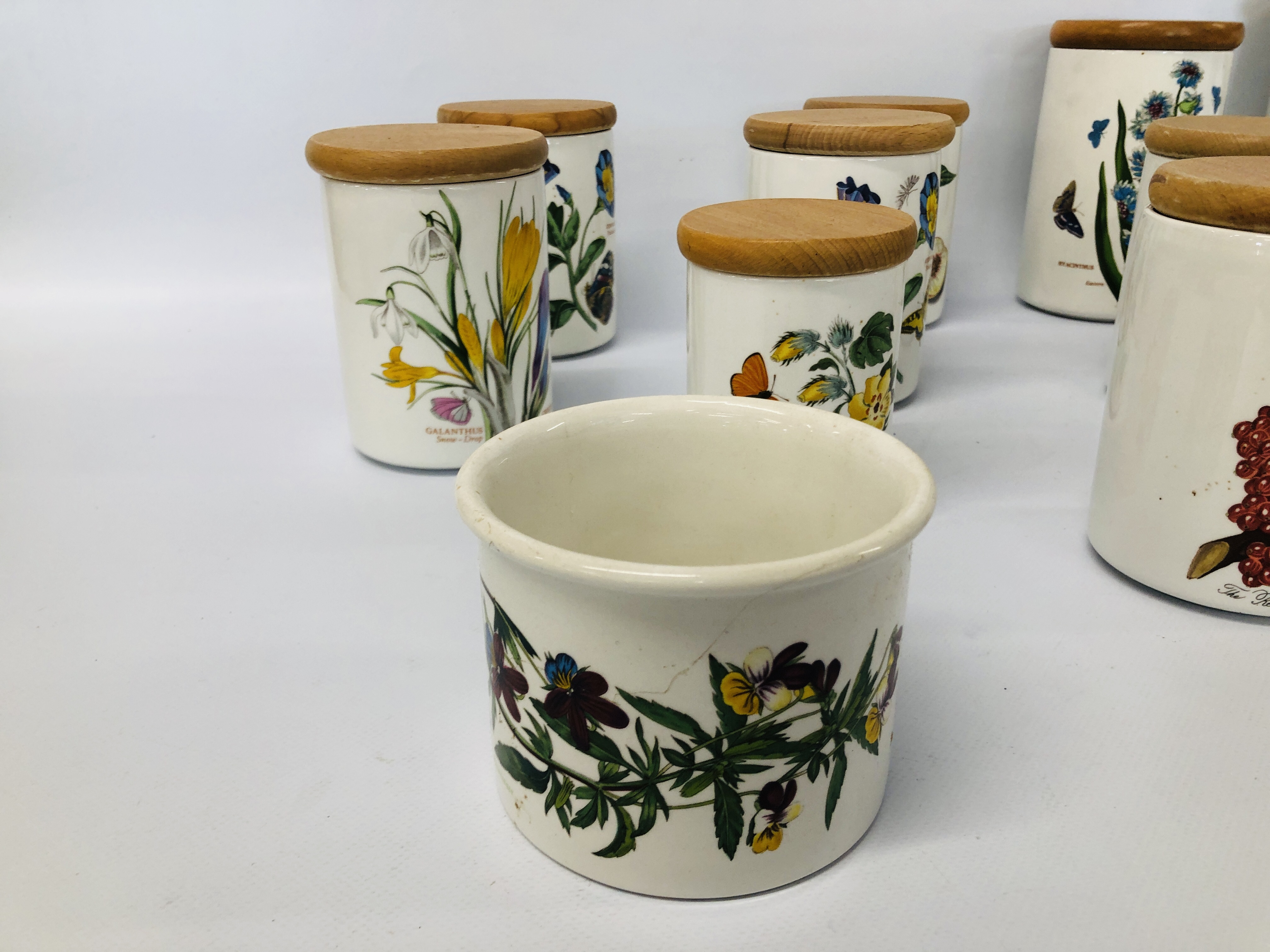 11 X ASSORTED PORTMEIRION "THE BOTANIC GARDEN" STORAGE CANISTERS AND 2 OTHERS - Image 2 of 5