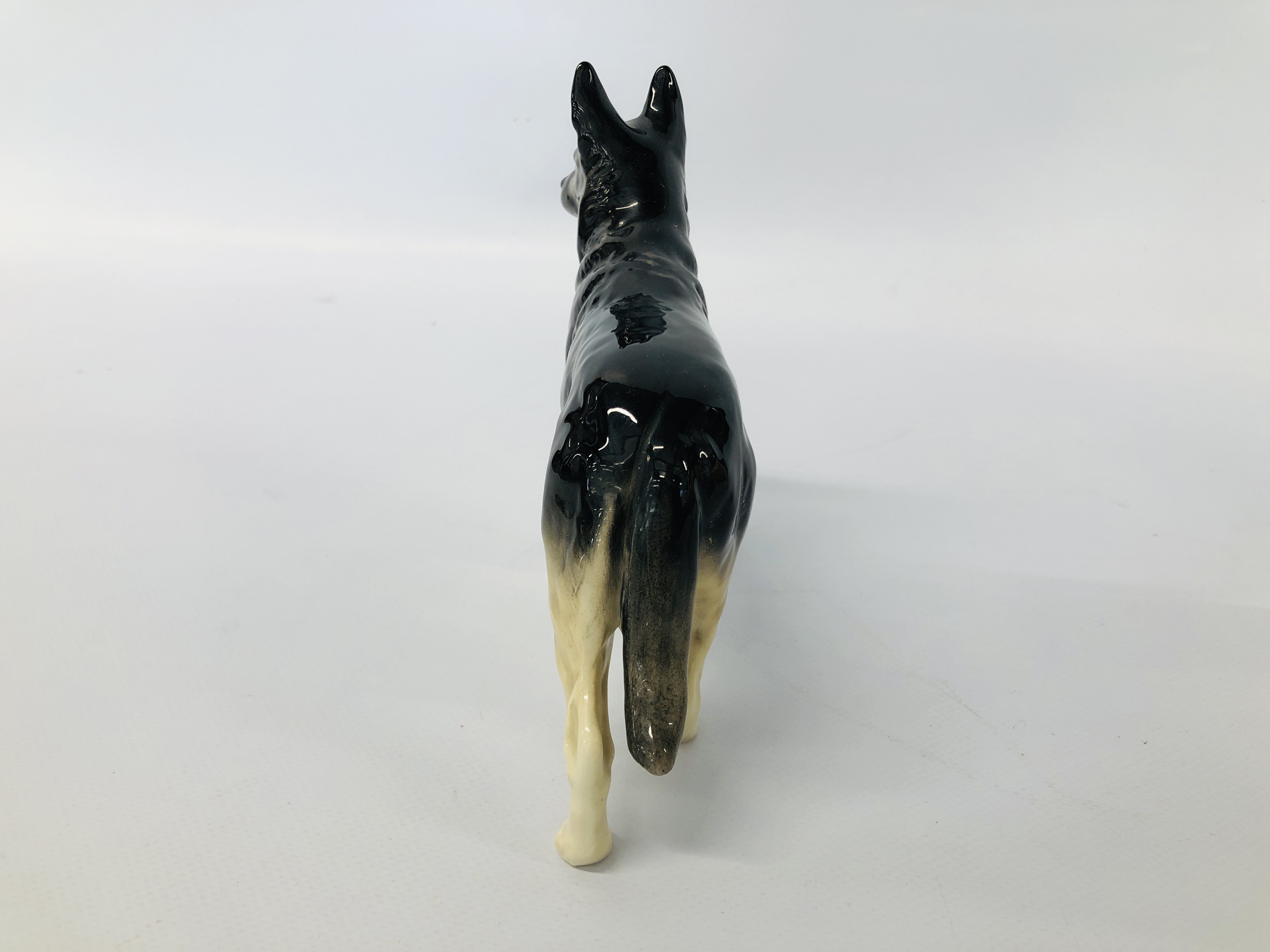 BESWICK ALSATIAN, CH ULRICA OF BRITTAS HEIGHT 14.5 CM. - Image 3 of 11