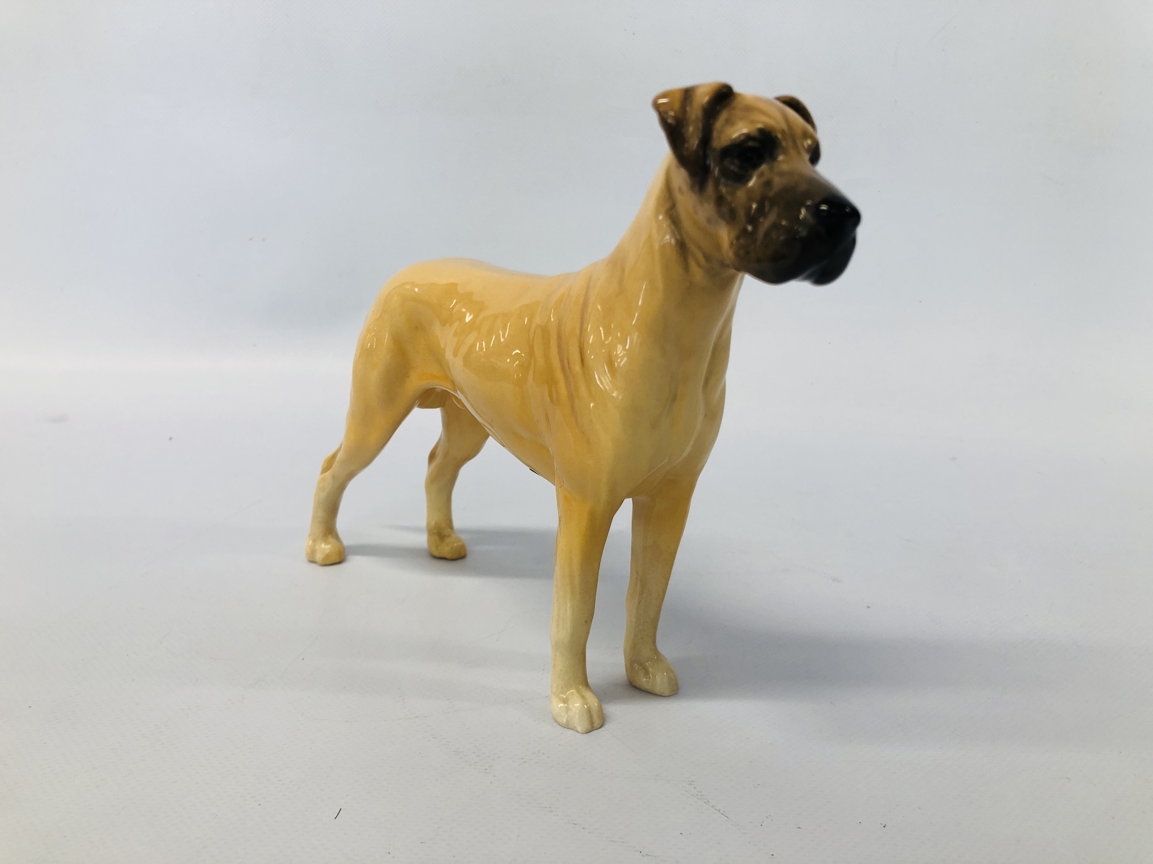 BESWICK ALSATIAN, CH ULRICA OF BRITTAS HEIGHT 14.5 CM. - Image 6 of 11