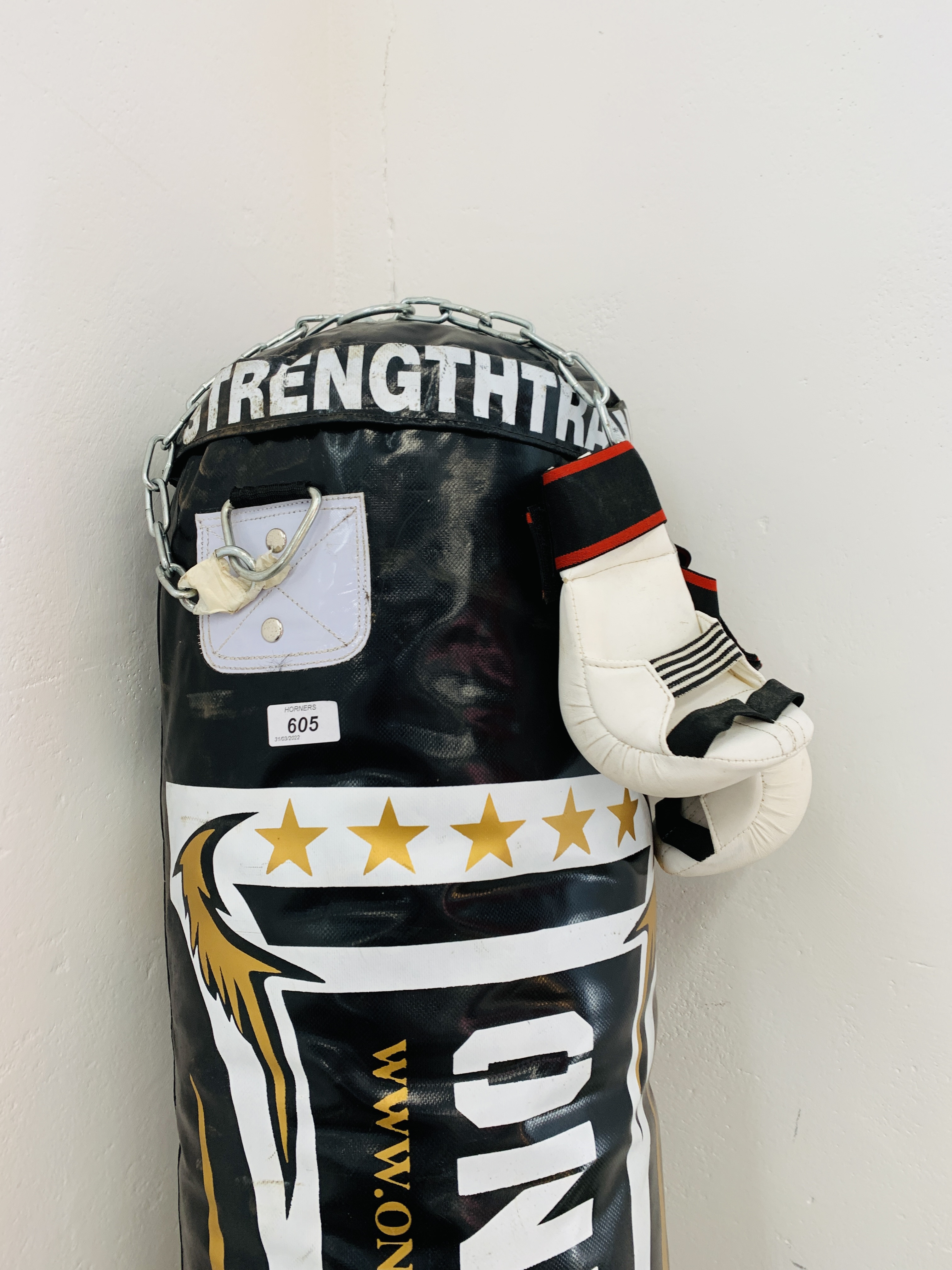ONE X SPORT PUNCH BAG AND PAIR OF SPARING GLOVES. - Image 2 of 5