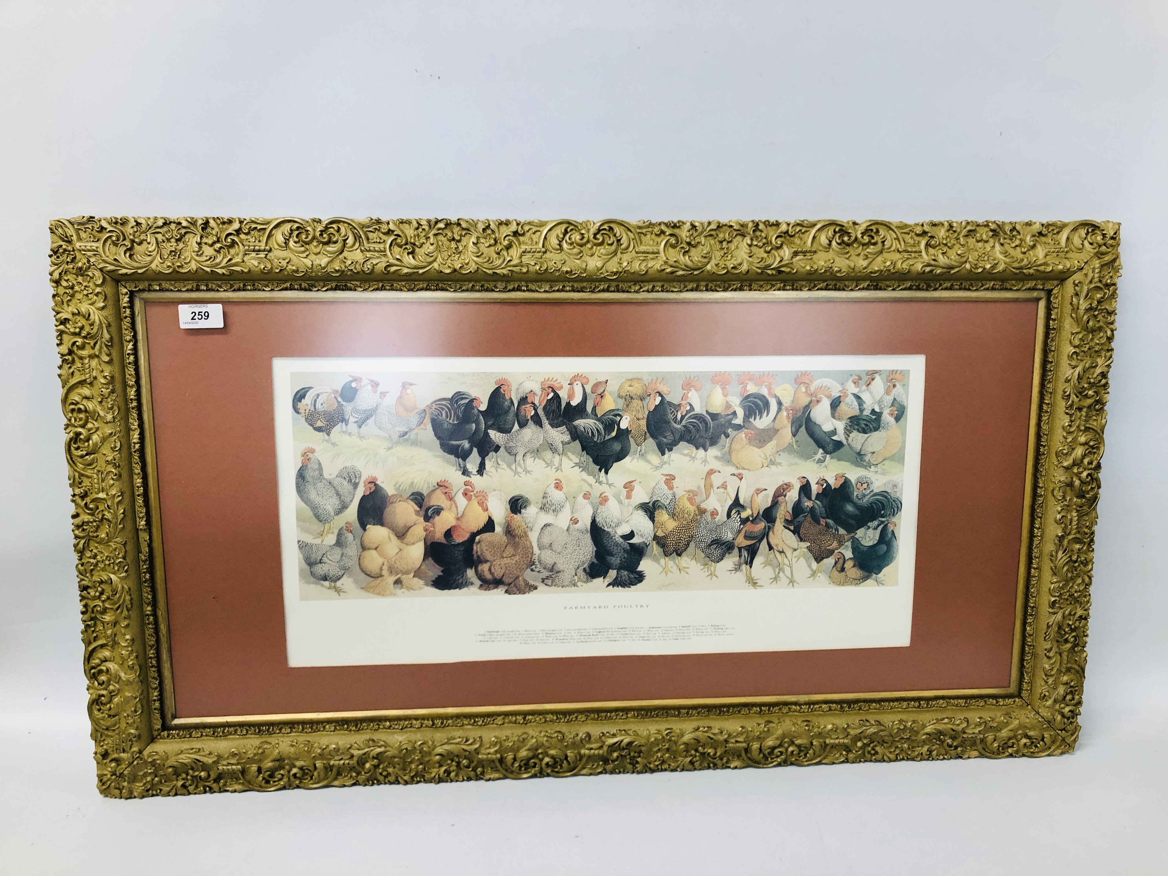 A FARMYARD POULTRY PRINT MOUNTED IN GILT FRAME