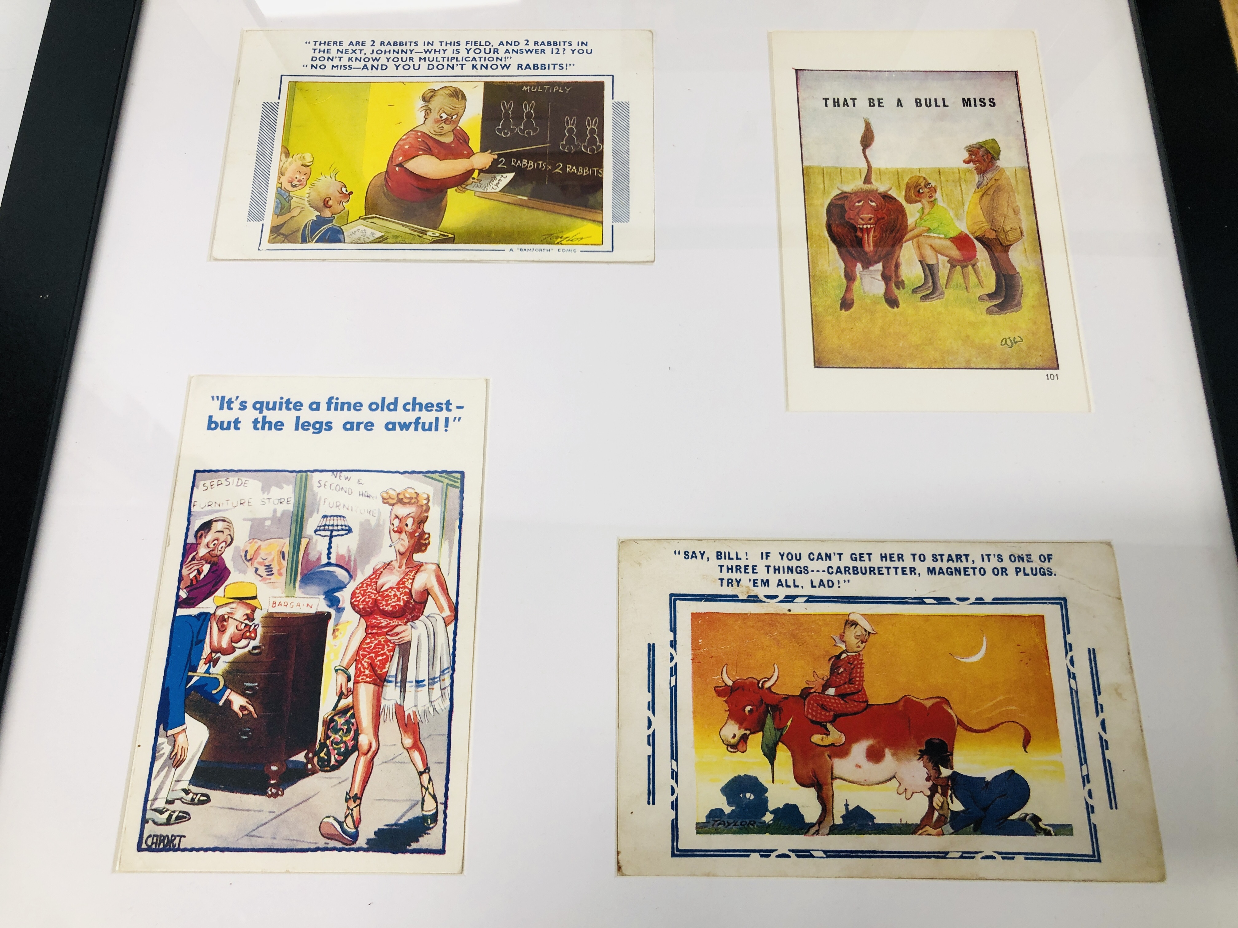 THREE FRAMED COMICAL POSTCARD DISPLAYS - Image 5 of 5