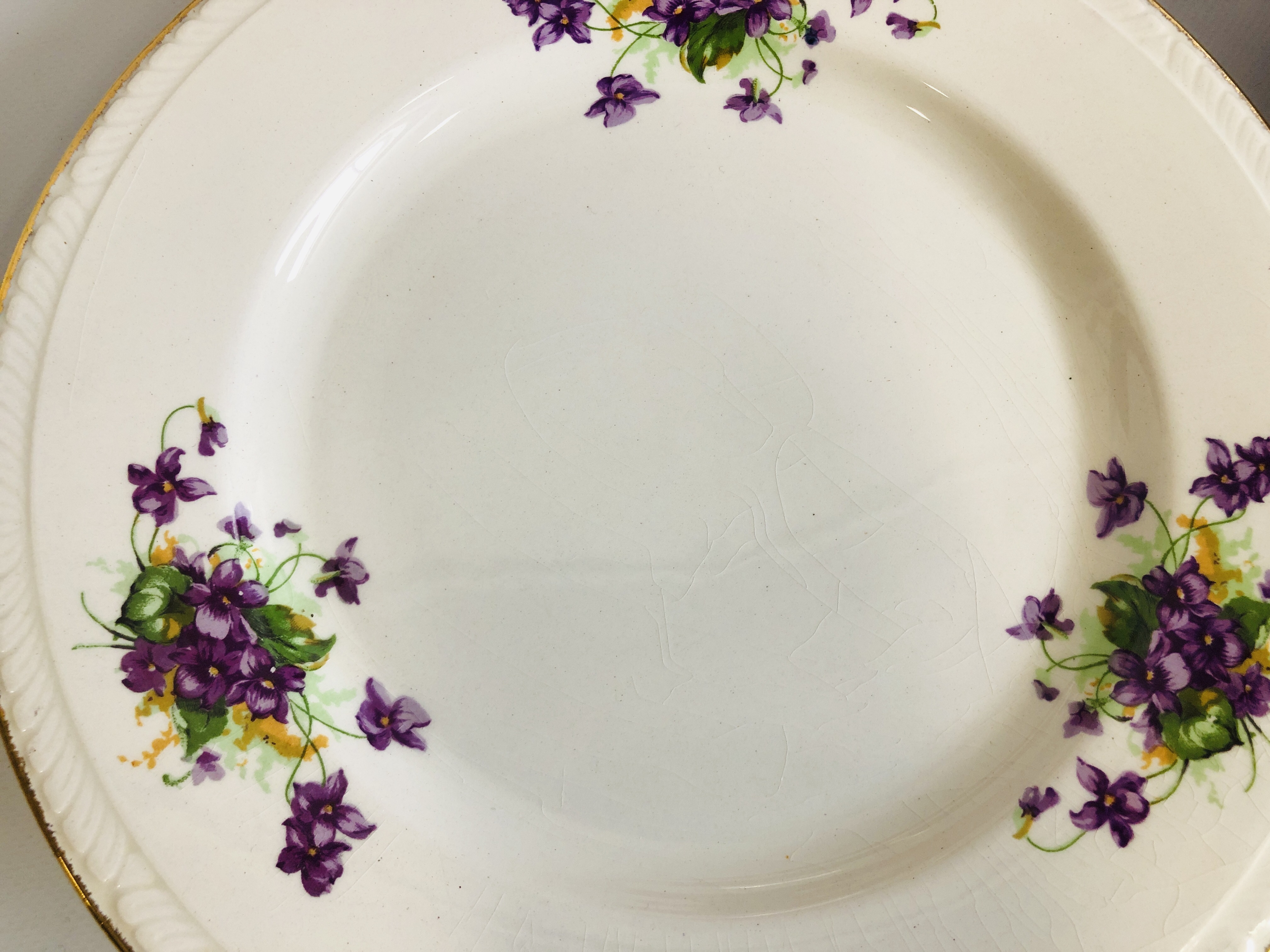 SET OF ROYAL TUDOR WARE FLORAL DECORATED DINNER WARE - Image 8 of 15