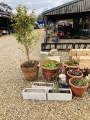 8 X ASSORTED PLANTERS AND A CONCRETE MUSHROOM ETC.