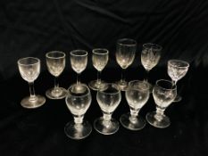 A GROUP OF ELEVEN C19TH AND LATER ASSORTED SHERRY GLASSES TO INCLUDE SOME PAIRS