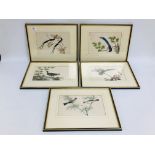 5 C19th CHINESE WATERCOLOURS OF BIRDS, 15CM X 25CM.