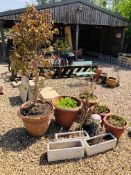 8 X ASSORTED PLANTERS AND A CONCRETE MUSHROOM ETC.