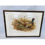 A FRAMED AND MOUNTED ORIGINAL WATERCOLOUR "COCK BIRD PHEASANT" BEARING SIGNATURE ROBERT COPPILLIE