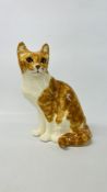 WINSTANLEY LIFE SIZE GINGER CAT IN SITTING POISE HEIGHT 31CM.