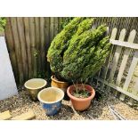 THREE GLAZED GARDEN PLANTERS ONE CONTAINING CONIFER PLUS ONE PLASTIC PLANTER