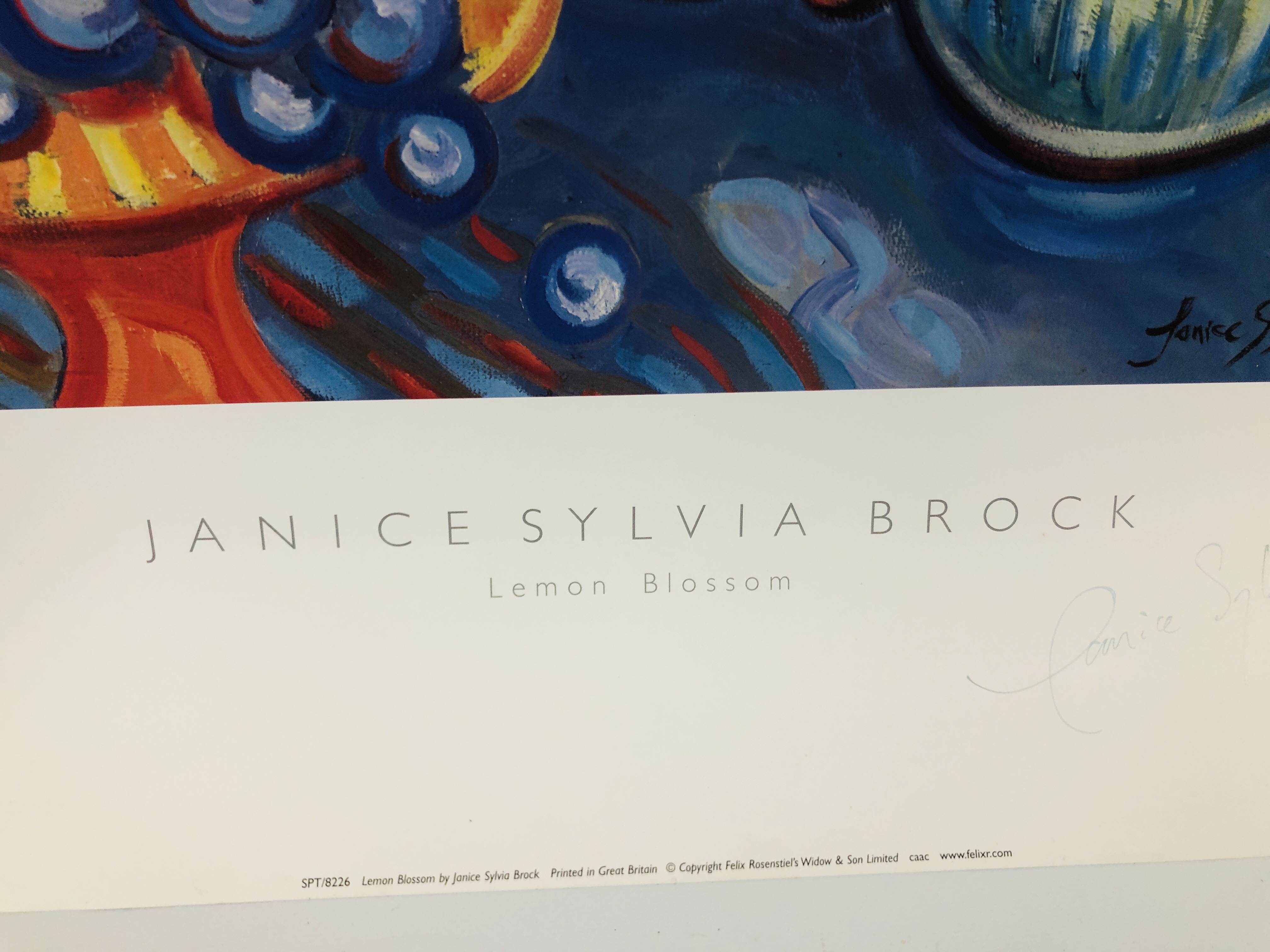 TWO MODERN UNFRAMED JANICE SYLVIA BROCK PRINTS INCLUDING ORANGE PLATTER AND LEMON BLOSSOM - Image 7 of 9