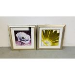 2 FRAMED AND MOUNTED MODERN WALL ART PRINTS - PURPLE POPPY DETAIL BY JOHN TAYLOR AND CITRINE