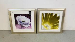 2 FRAMED AND MOUNTED MODERN WALL ART PRINTS - PURPLE POPPY DETAIL BY JOHN TAYLOR AND CITRINE