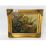 FRAMED OIL ON BOARD JAMES ALLEN "SPRING ROBIN" WIDTH 24CM. HEIGHT 19CM.