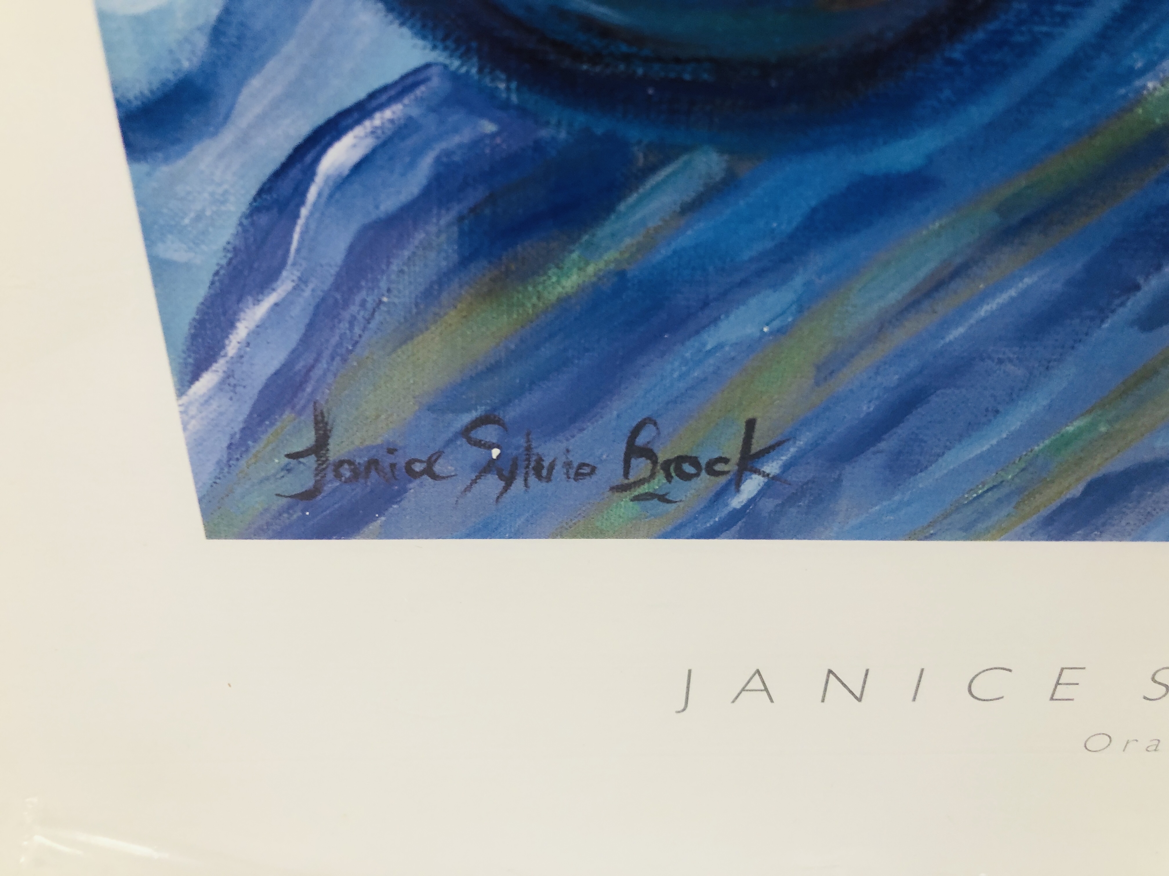 TWO MODERN UNFRAMED JANICE SYLVIA BROCK PRINTS INCLUDING ORANGE PLATTER AND LEMON BLOSSOM - Image 3 of 9