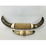 TWO SETS OF MOUNTED HORNS LARGEST L 80CM, SMALLEST L 40CM.