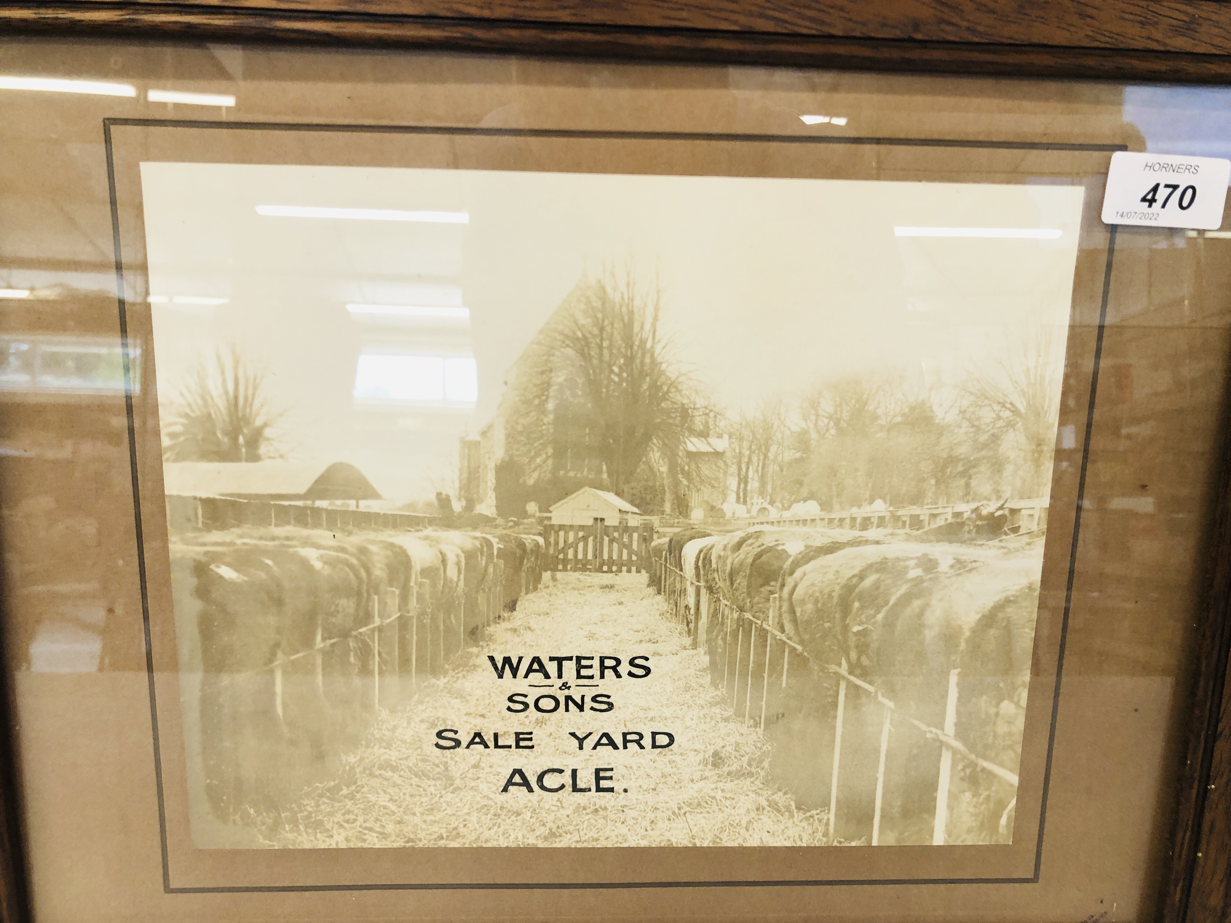 A VINTAGE PHOTOGRAPH OF FAT CATTLE IN STALLS WITH ACLE CHURCH IN THE BACKGROUND WITH OVER WRITING - Image 2 of 2