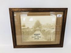 A VINTAGE PHOTOGRAPH OF FAT CATTLE IN STALLS WITH ACLE CHURCH IN THE BACKGROUND WITH OVER WRITING