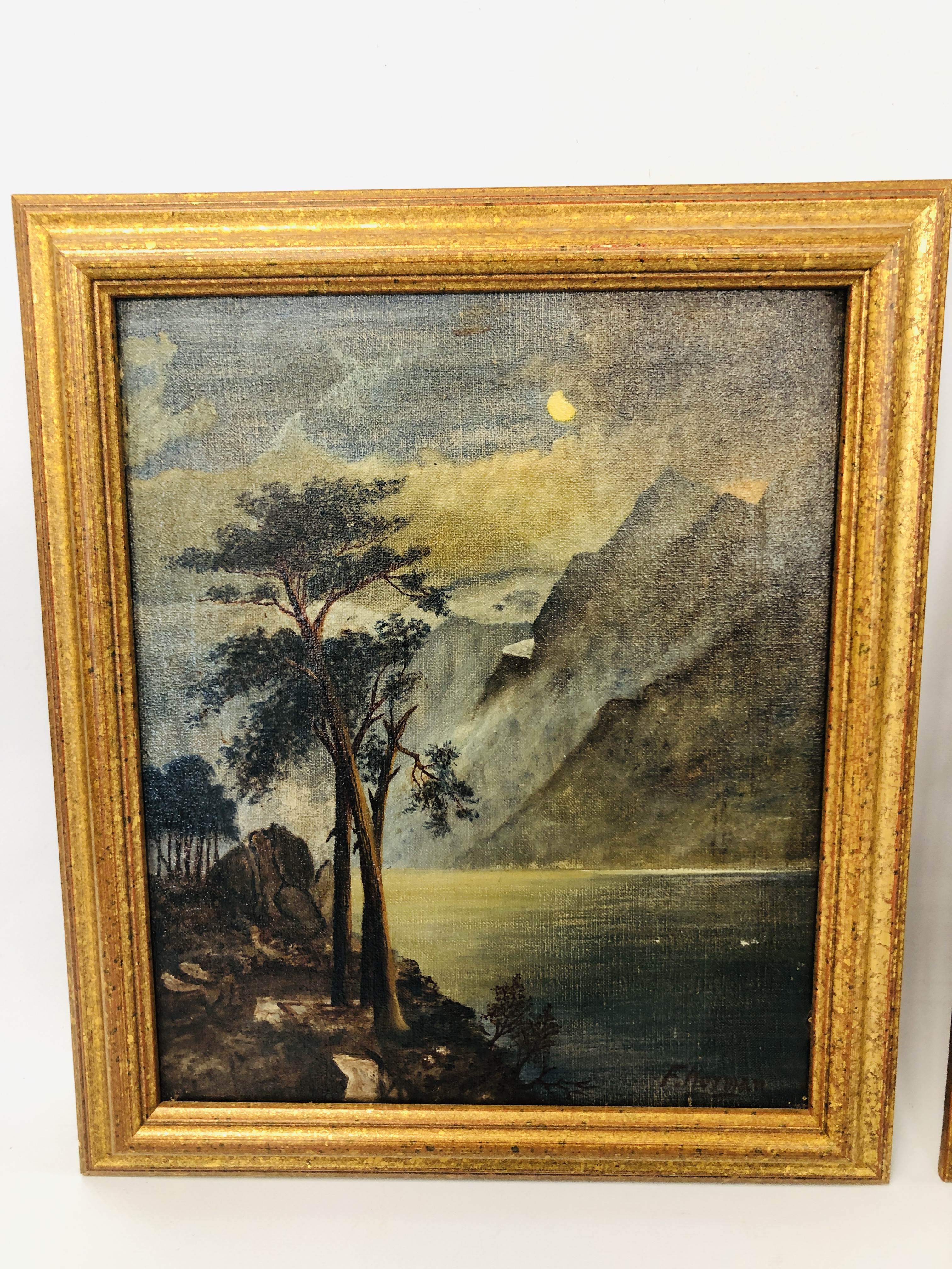F. NOYMAN, A PAIR OF LANDSCAPES, A WATERFALL AND A NOCTURNE WITH MOUNTAINS, OIL ON CANVAS 30. - Image 2 of 15