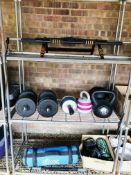 COLLECTION OF HOME GYM EQUIPMENT TO INCLUDE MAD X WEIGHT BAG, PERFECT AB CARVER, VARIOUS WEIGHTS,