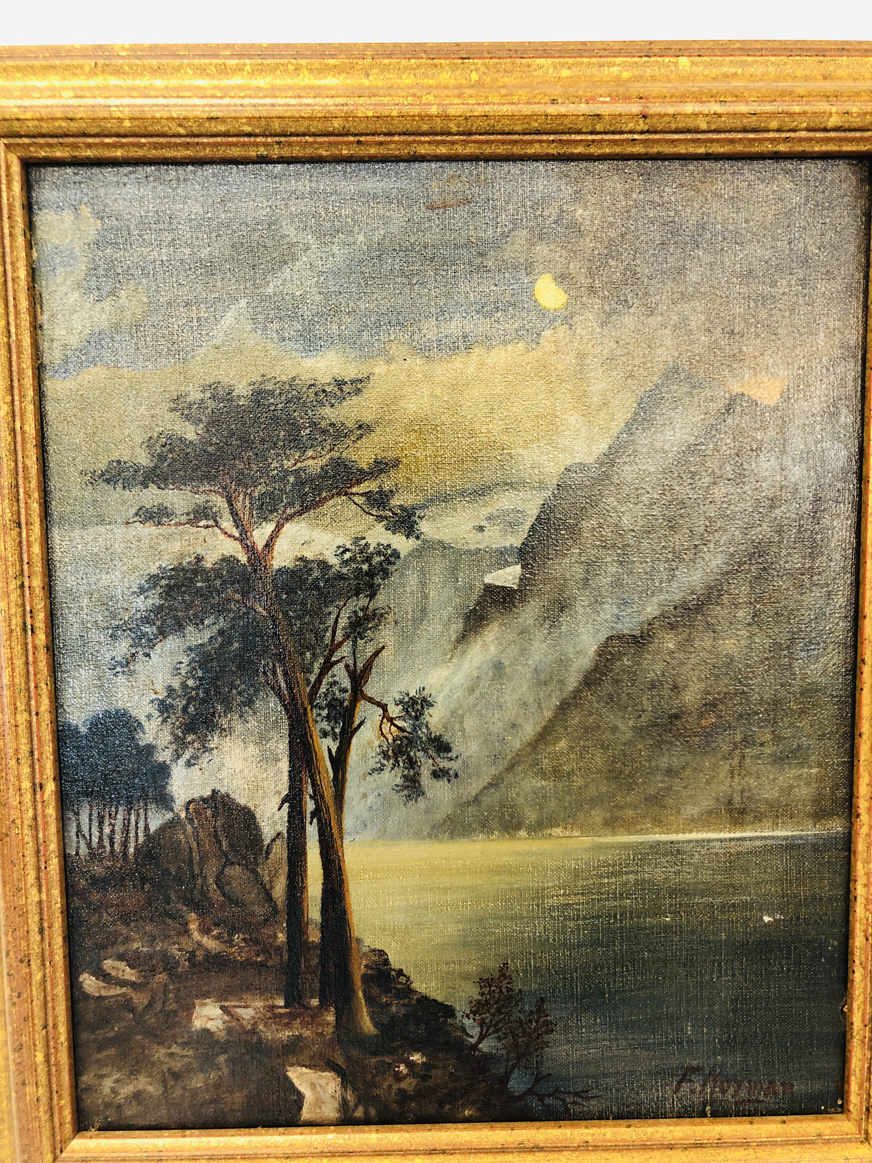 F. NOYMAN, A PAIR OF LANDSCAPES, A WATERFALL AND A NOCTURNE WITH MOUNTAINS, OIL ON CANVAS 30. - Image 3 of 15