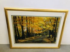 LARGE MODERN GILT FRAMED PRINT AUTUMNAL WOODLAND SCENE WIDTH 90CM. HEIGHT 61CM.