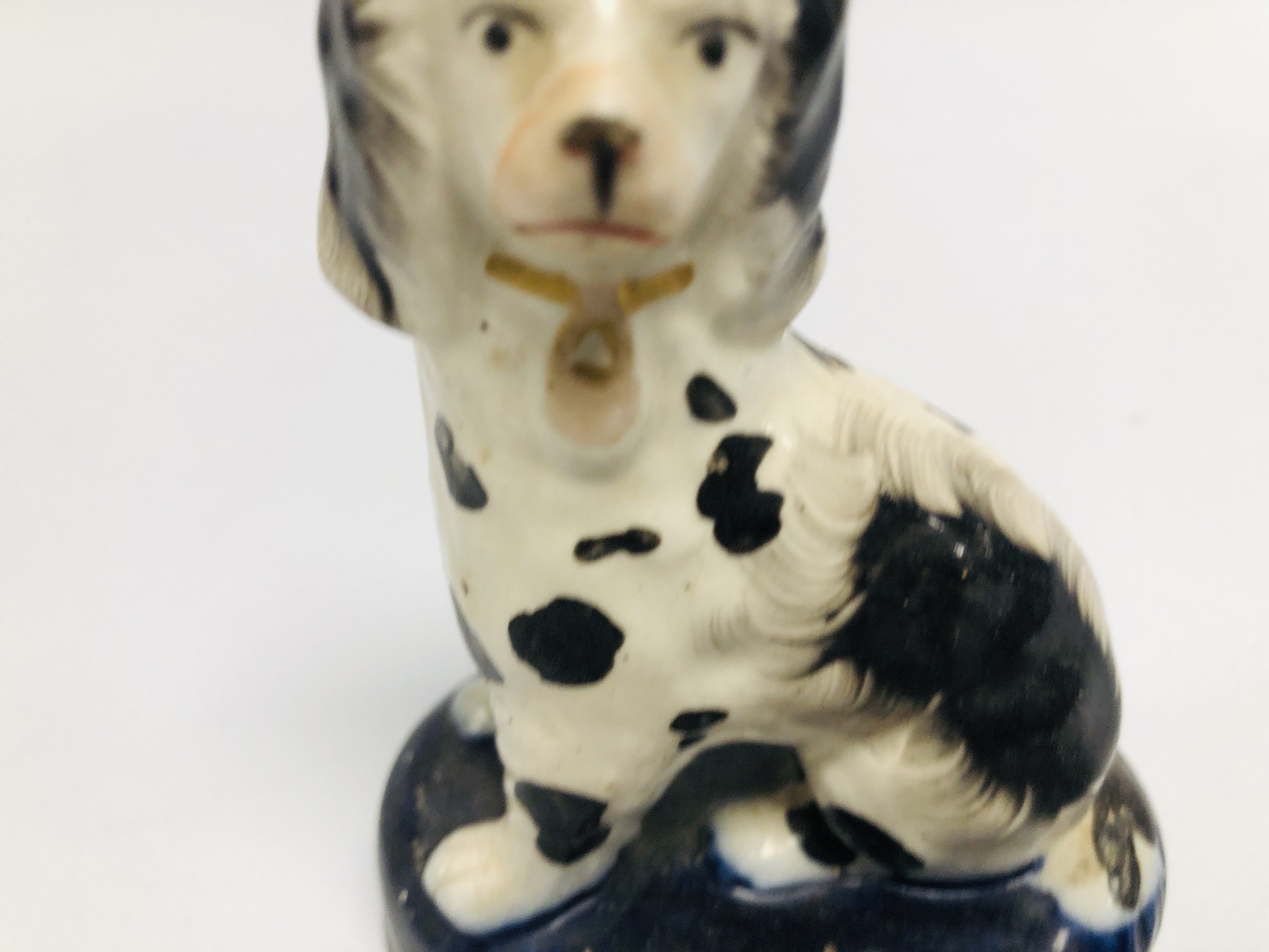 A PAIR OF STAFFORDSHIRE SEATED SPANIELS, H 11CM. - Image 2 of 14