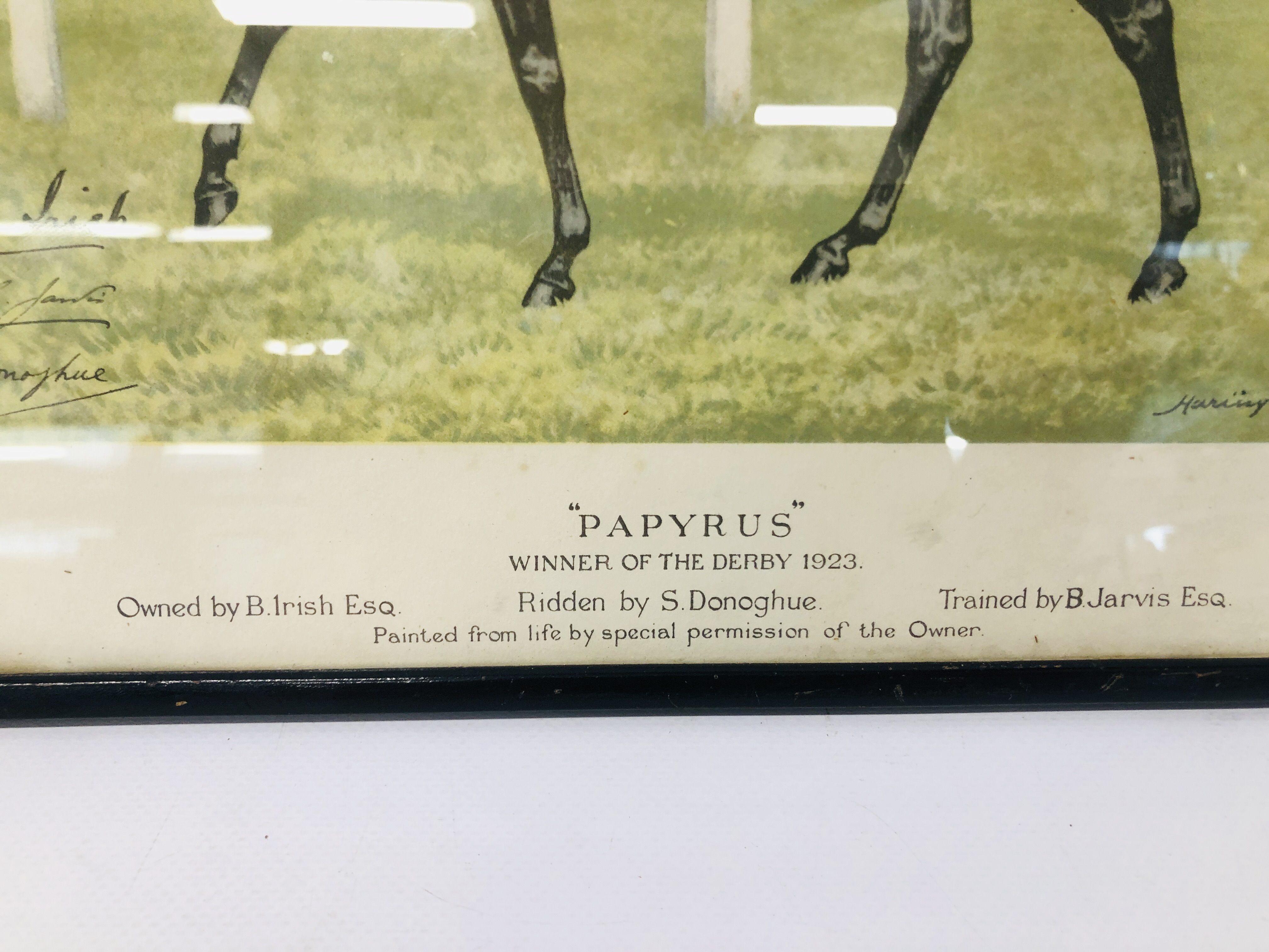 A FRAMED AND MOUNTED PRINT "PAPYRUS" WINNER OF THE DERBY 1923 RIDDEN BY DONOGHUE BEARING SIGNATURE - Image 2 of 4