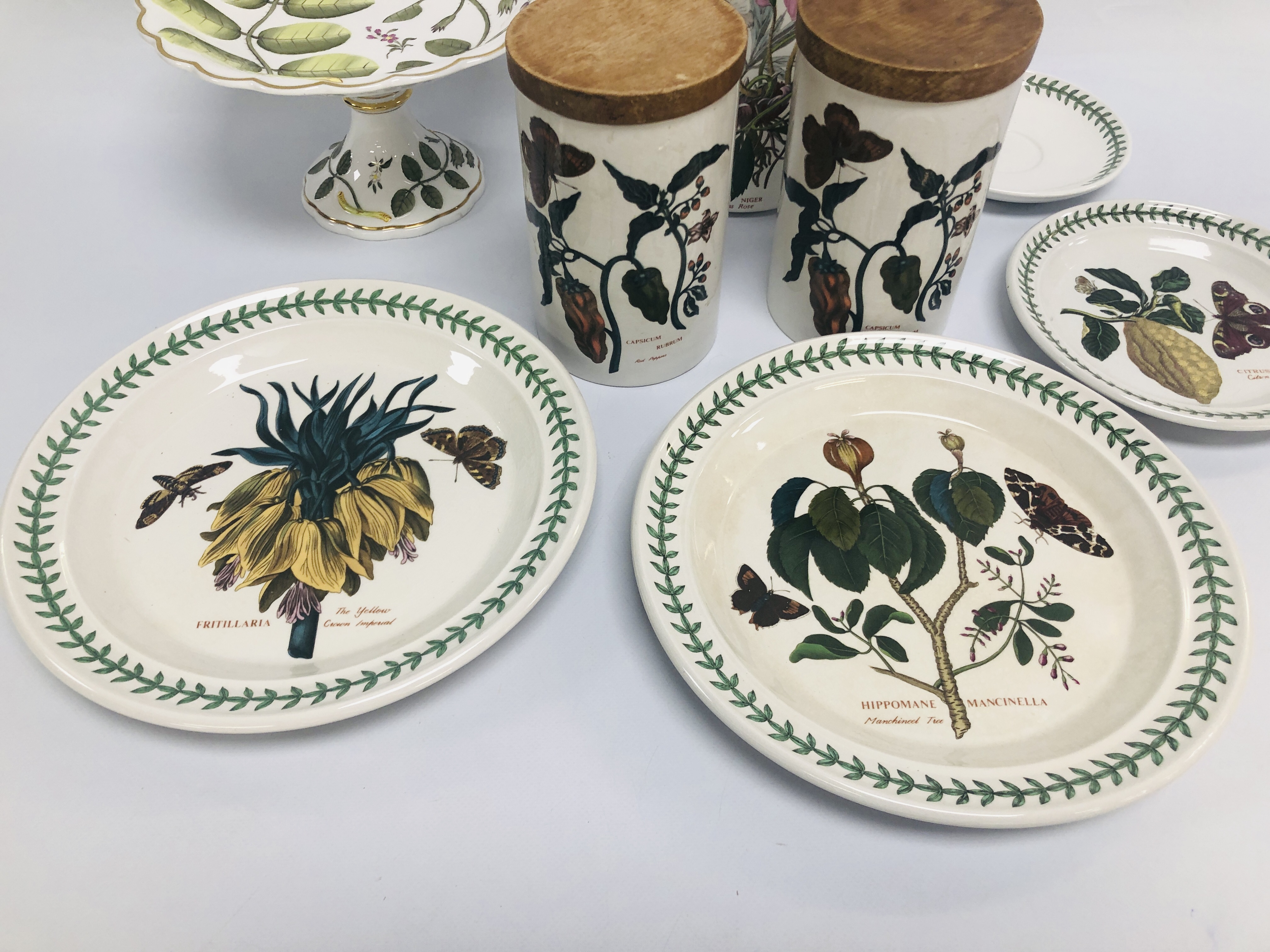 SEVEN PIECES OF PORTMEIRION BOTANIC GARDENS TO INCLUDE STORAGE JARS AND PLATE ALONG WITH ROYAL - Image 2 of 8