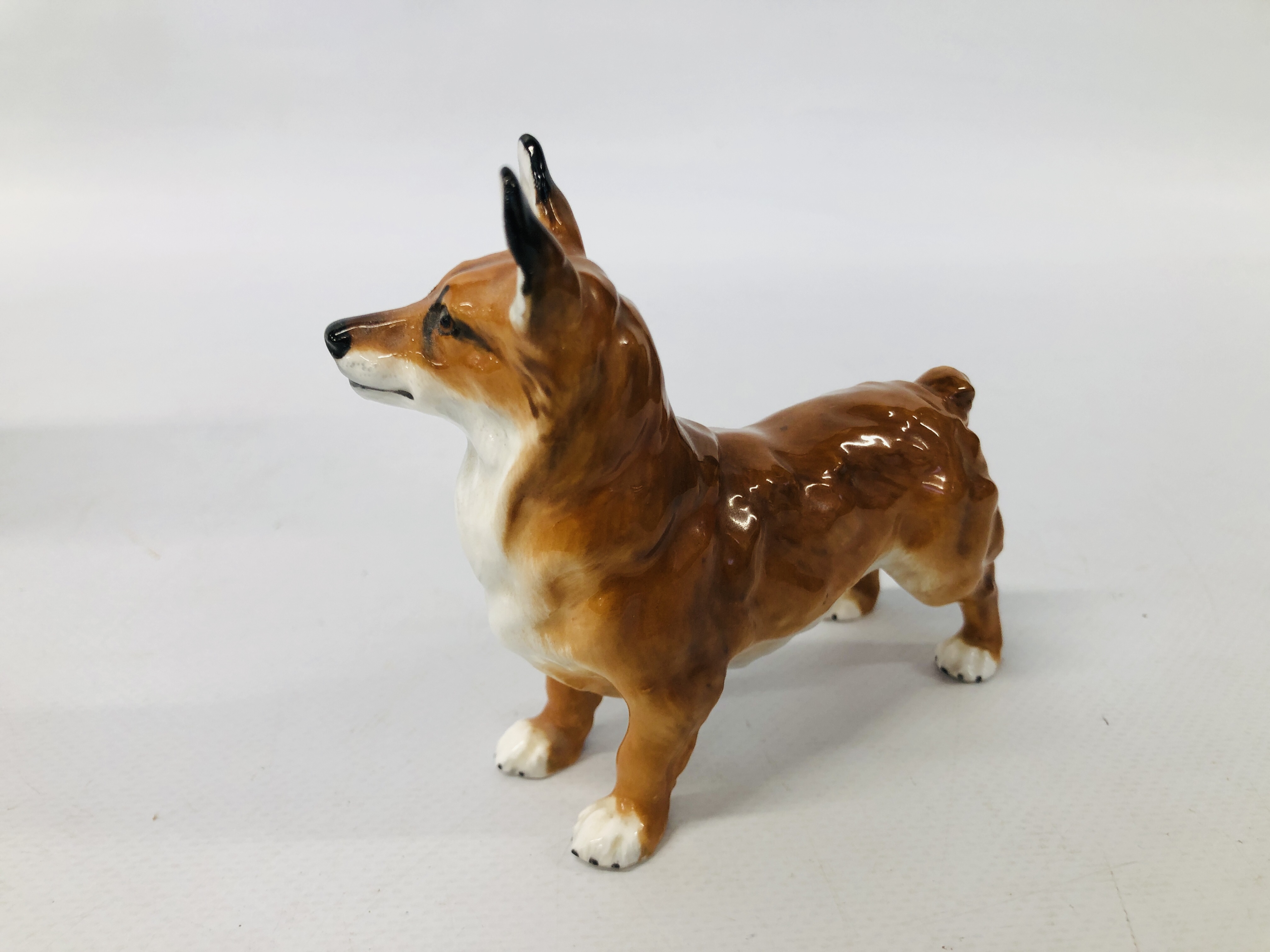 A C20TH NYMPHEMBERG MODEL OF A GERMAN SHEPHERD DOG ALONG WITH A ROYAL DOULTON CORGI DOG AND SEATED - Image 3 of 15