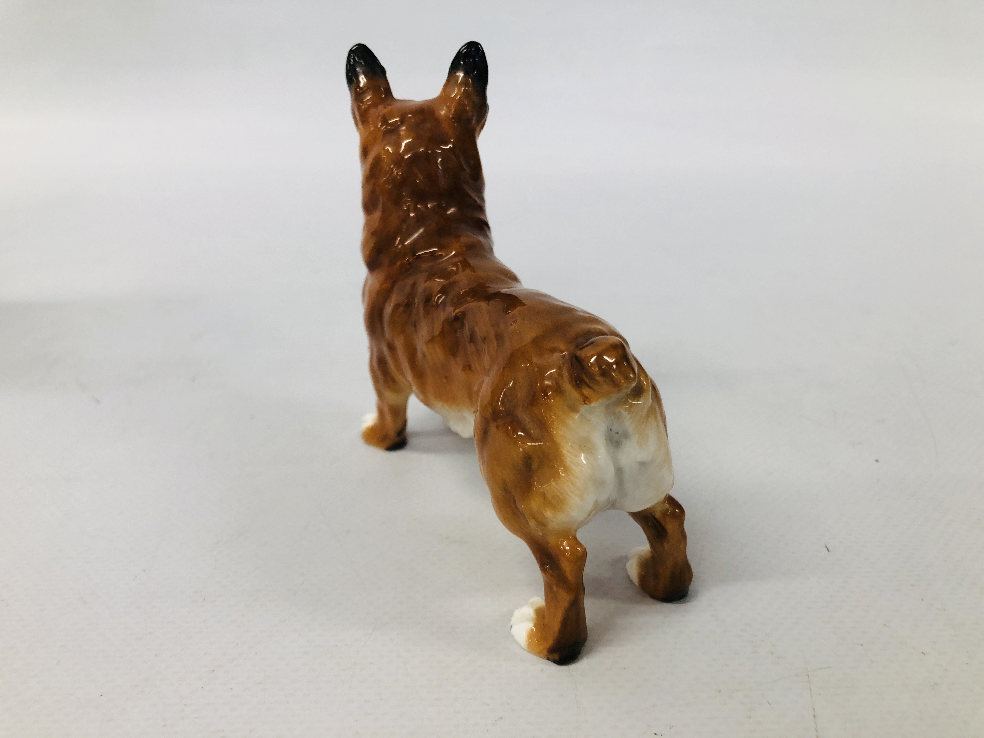 A C20TH NYMPHEMBERG MODEL OF A GERMAN SHEPHERD DOG ALONG WITH A ROYAL DOULTON CORGI DOG AND SEATED - Image 4 of 15