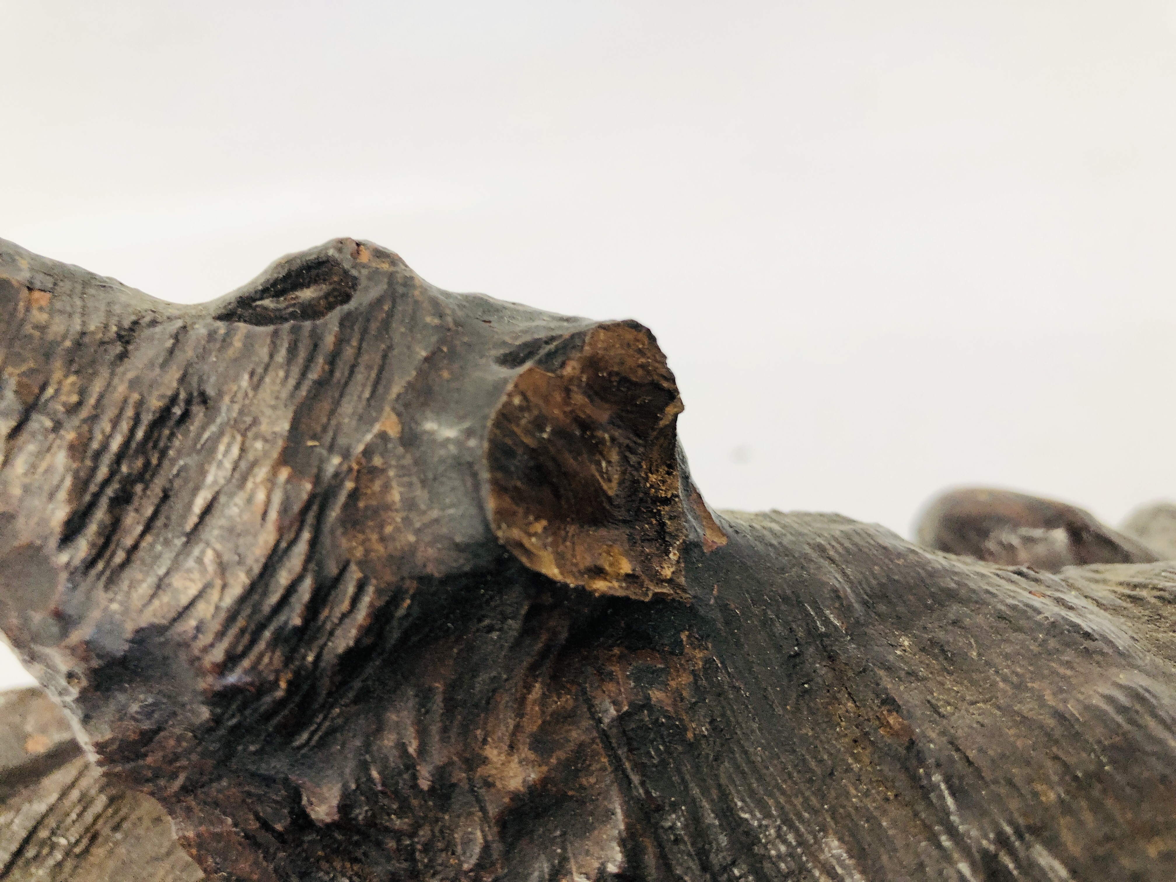 A HARDWOOD HAND CARVED STUDY OF WATER BUFFALO. - Image 7 of 8