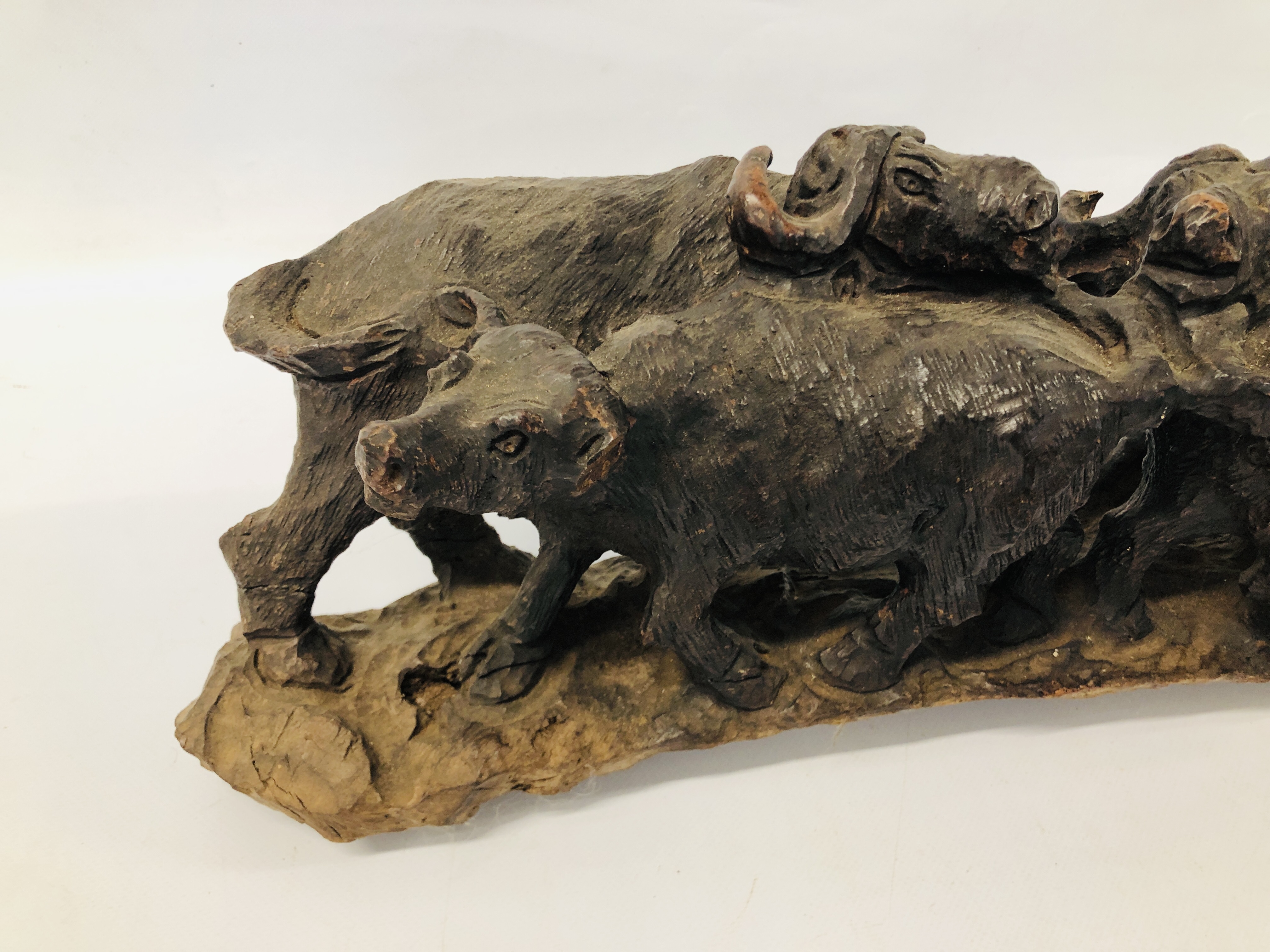 A HARDWOOD HAND CARVED STUDY OF WATER BUFFALO. - Image 3 of 8