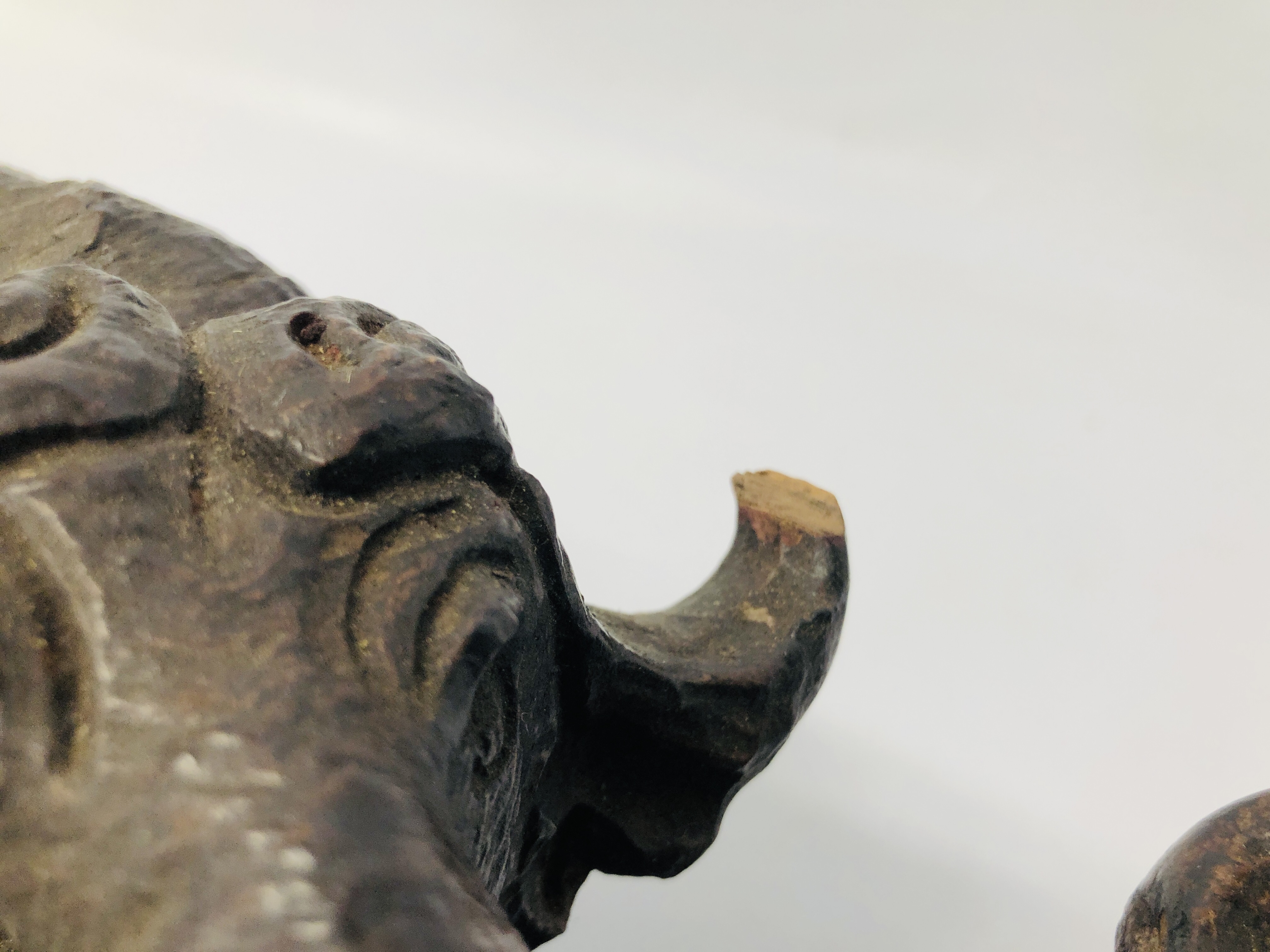 A HARDWOOD HAND CARVED STUDY OF WATER BUFFALO. - Image 5 of 8