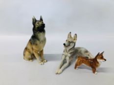 A C20TH NYMPHEMBERG MODEL OF A GERMAN SHEPHERD DOG ALONG WITH A ROYAL DOULTON CORGI DOG AND SEATED