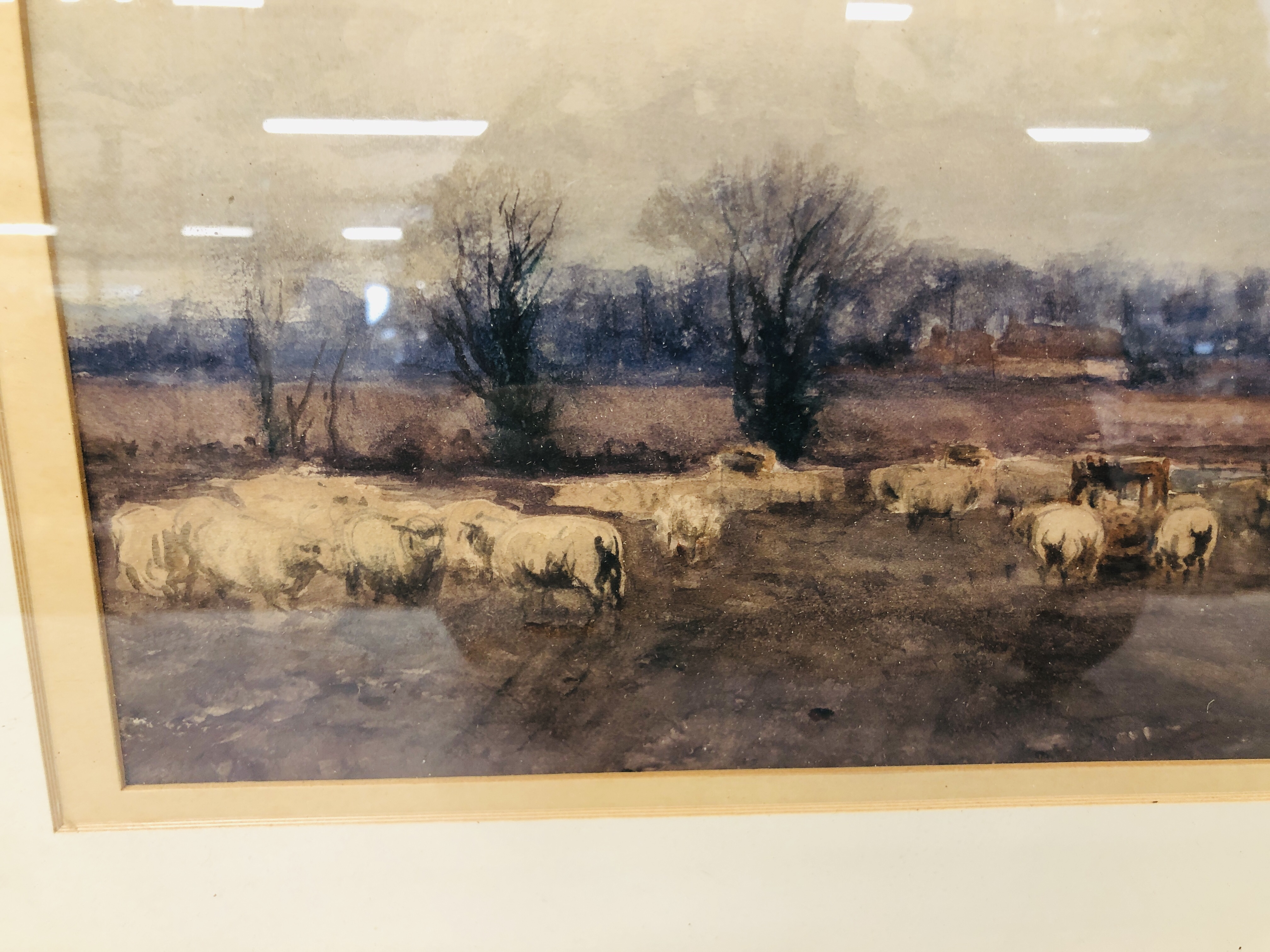 WATERCOLOUR "GRAZING SHEEP IN LANDSCAPE" NO VISIBLE SIGNATURE MARKED TO REAR SIGNED BY H.C. - Image 3 of 8