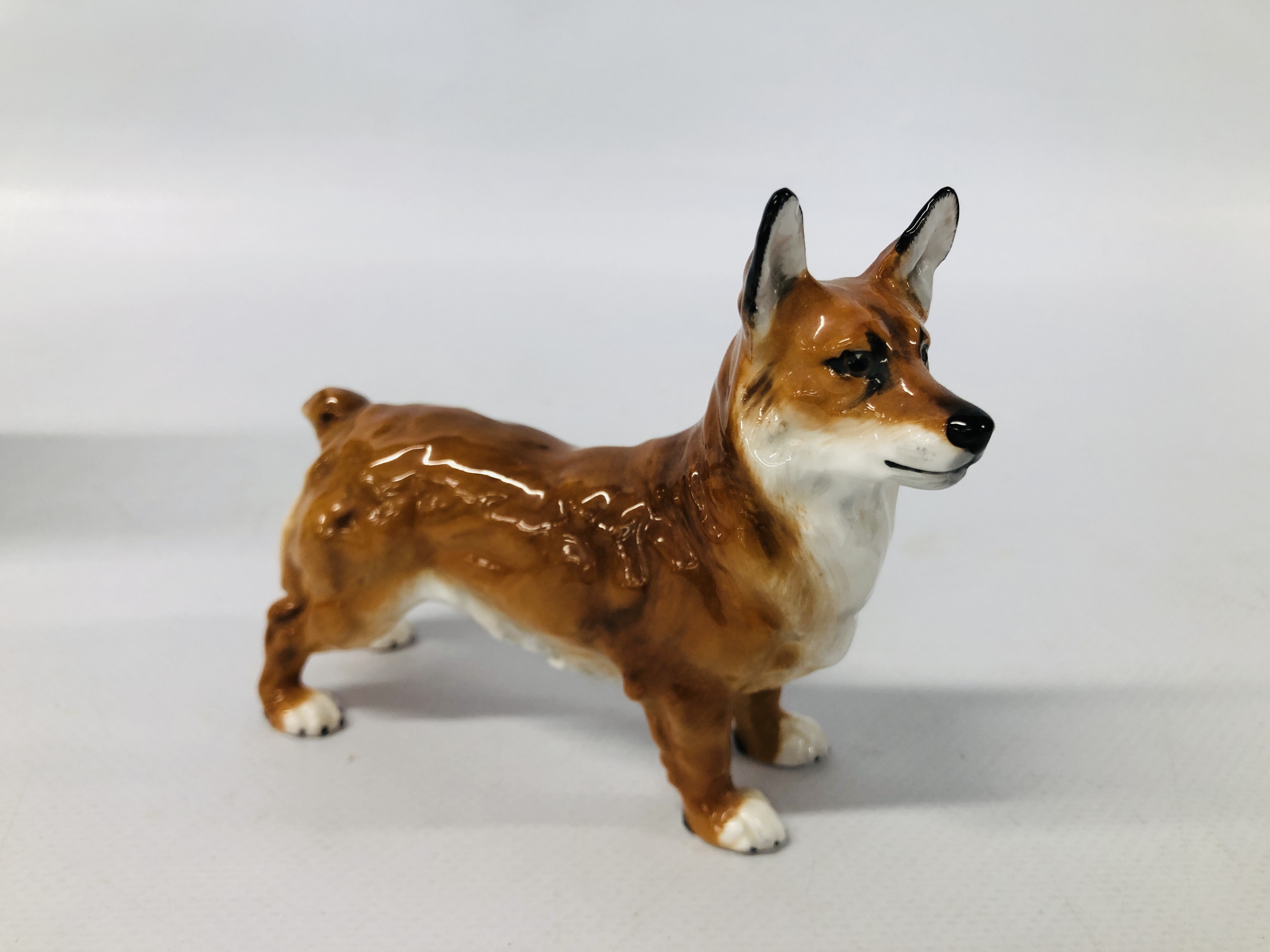 A C20TH NYMPHEMBERG MODEL OF A GERMAN SHEPHERD DOG ALONG WITH A ROYAL DOULTON CORGI DOG AND SEATED - Image 2 of 15