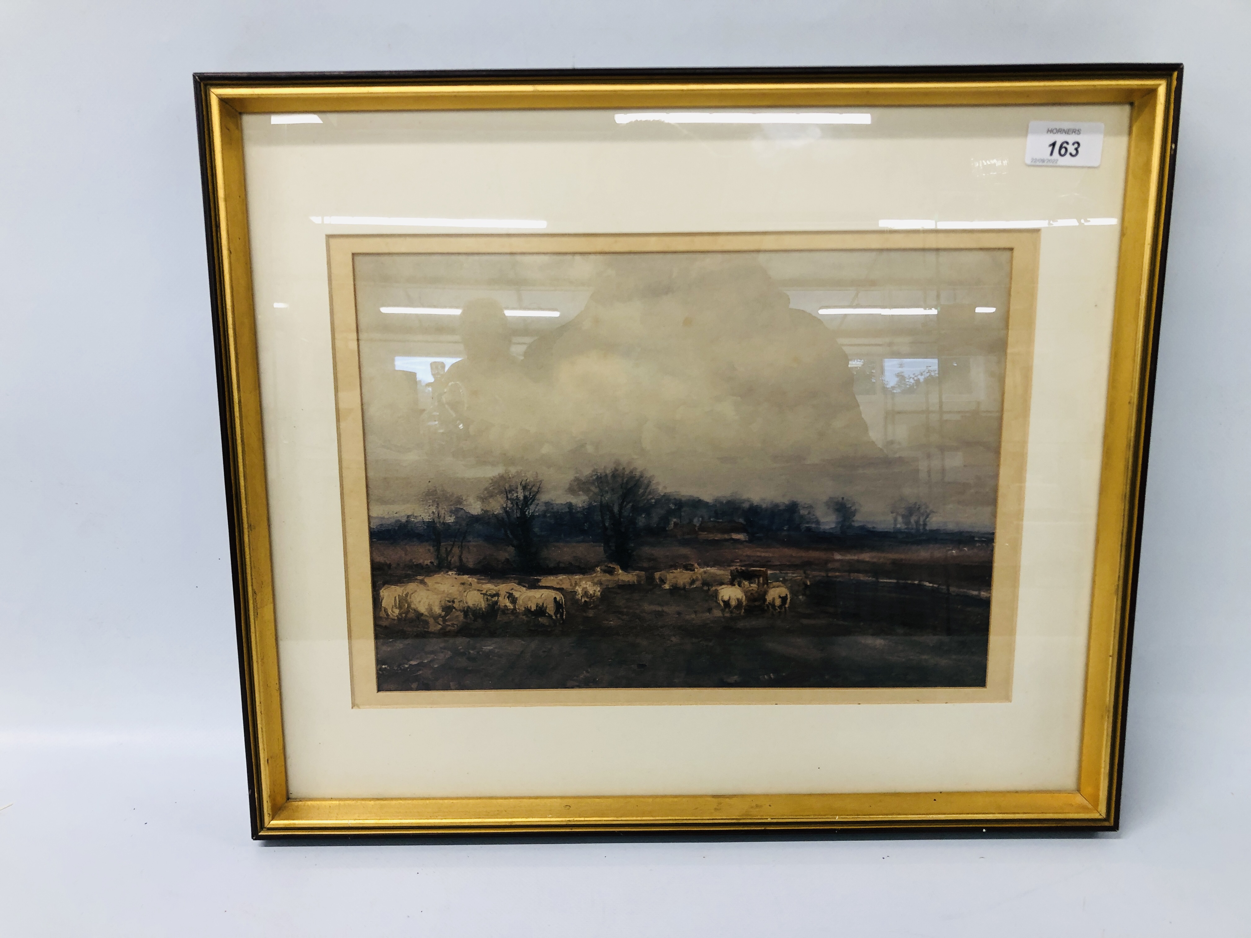 WATERCOLOUR "GRAZING SHEEP IN LANDSCAPE" NO VISIBLE SIGNATURE MARKED TO REAR SIGNED BY H.C.