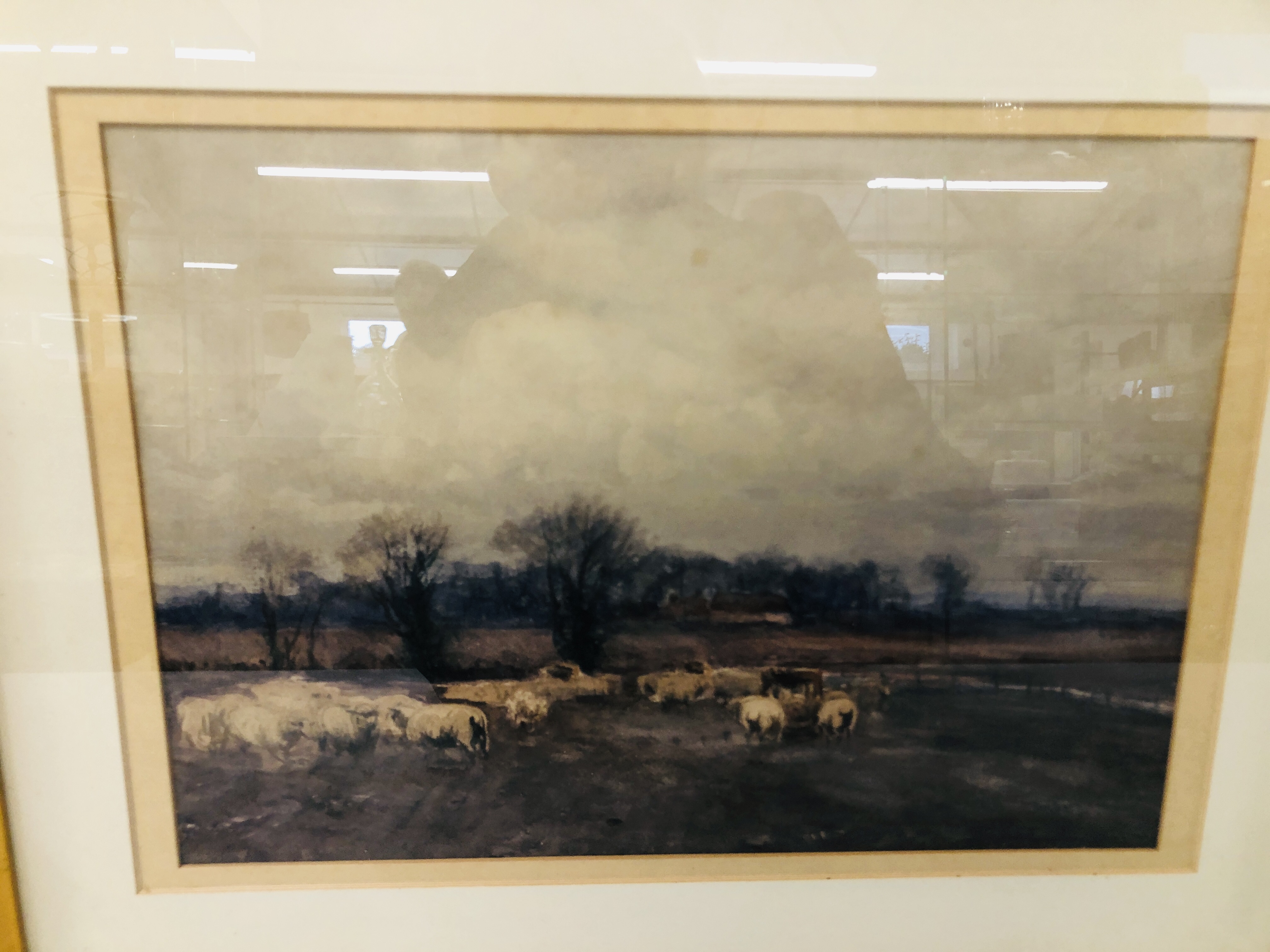 WATERCOLOUR "GRAZING SHEEP IN LANDSCAPE" NO VISIBLE SIGNATURE MARKED TO REAR SIGNED BY H.C. - Image 2 of 8