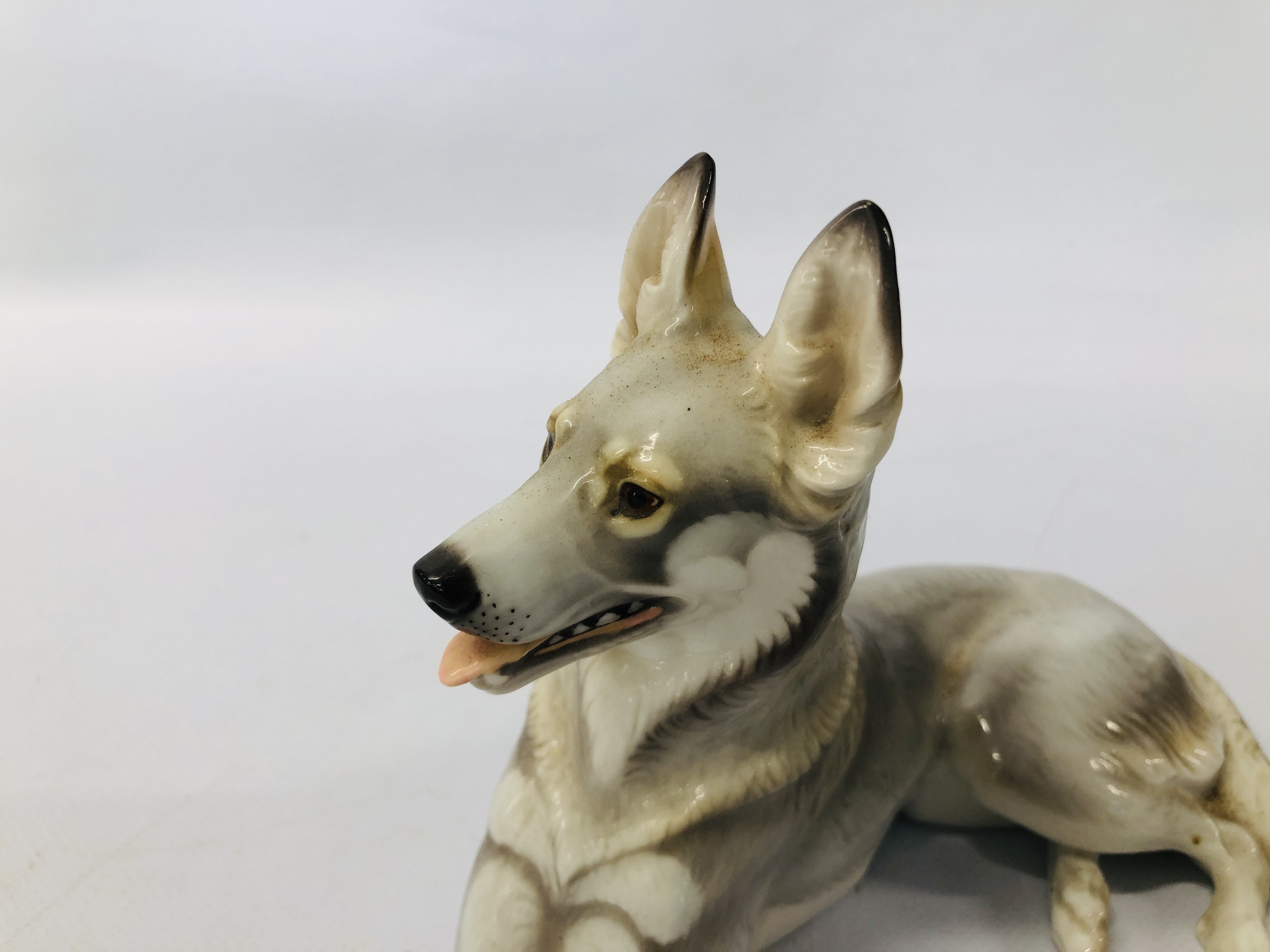 A C20TH NYMPHEMBERG MODEL OF A GERMAN SHEPHERD DOG ALONG WITH A ROYAL DOULTON CORGI DOG AND SEATED - Image 12 of 15