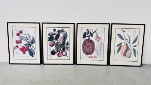 A SET OF FOUR FRAMED AND MOUNTED BERTHE HOOLA VAN NOOTEN BOTANICAL FRUIT STUDY PRINTS