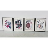 A SET OF FOUR FRAMED AND MOUNTED BERTHE HOOLA VAN NOOTEN BOTANICAL FRUIT STUDY PRINTS