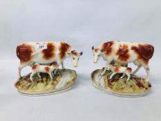 PAIR OF VINTAGE STAFFORDSHIRE STYLE COW AND CALF STUDIES (1 A/F HORNS RE GLUED AND EAR CHIP) WIDTH