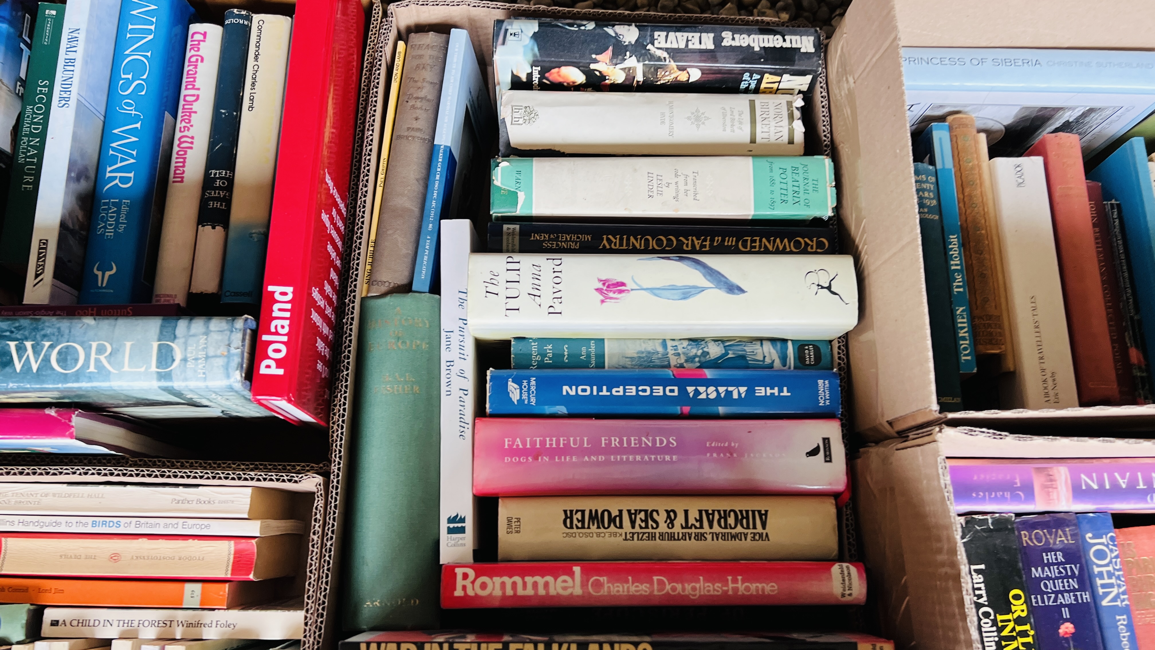 23 BOXES OF ASSORTED BOOKS - AS CLEARED TO INCLUDE NOVELS AND REFERENCE. - Image 6 of 24